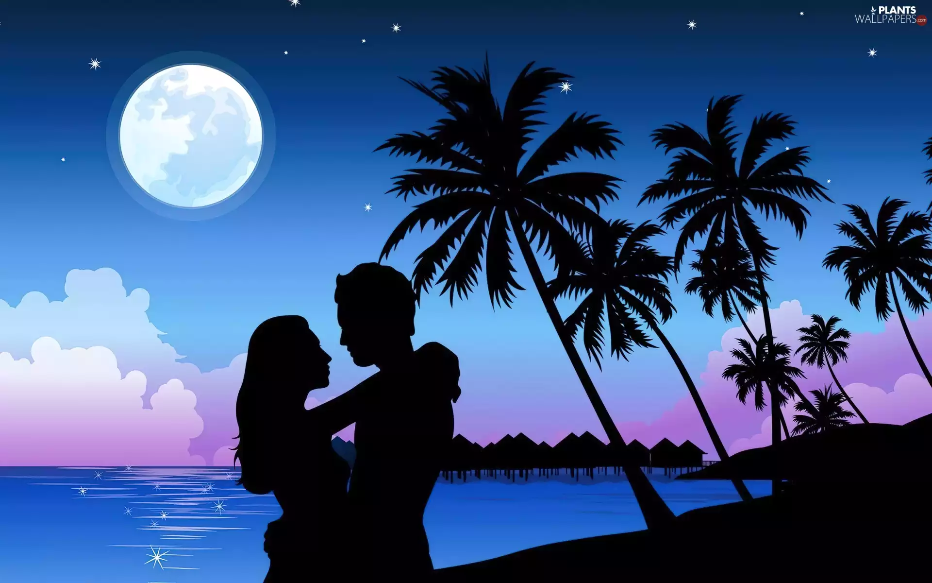 Beaches, lovers, moon, sea, Night