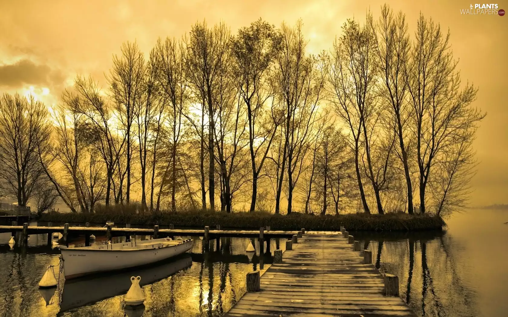 trees, lake, Przebijające, viewes, sun, autumn, luminosity, Boat, Platform, flash, ligh