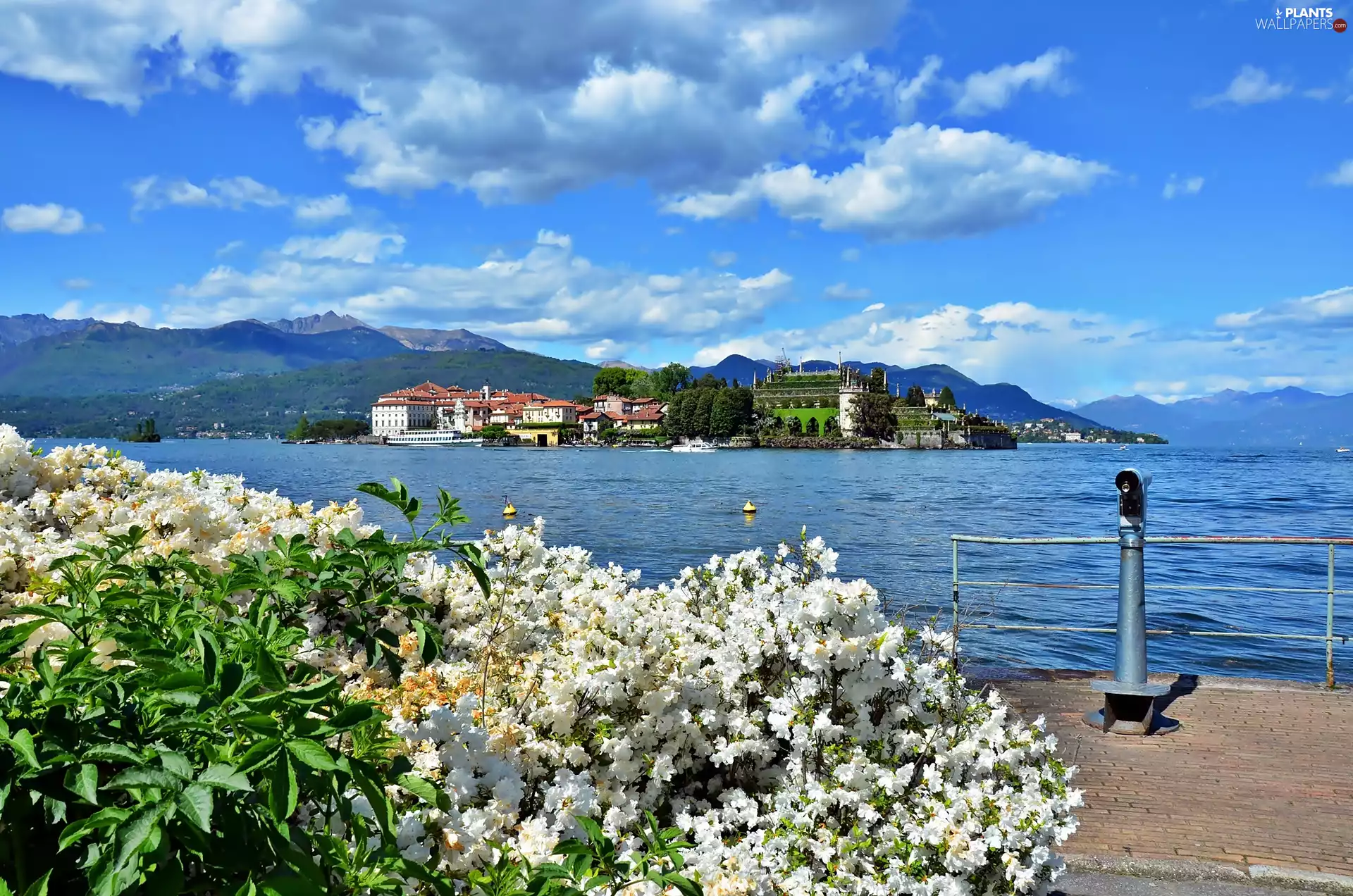 Town, Rhododendron, Lake Maggiore, clouds, Italy