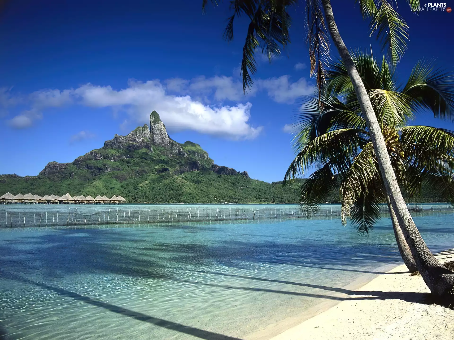 clouds, sea, Hill, Malaysia, Palm, Beaches