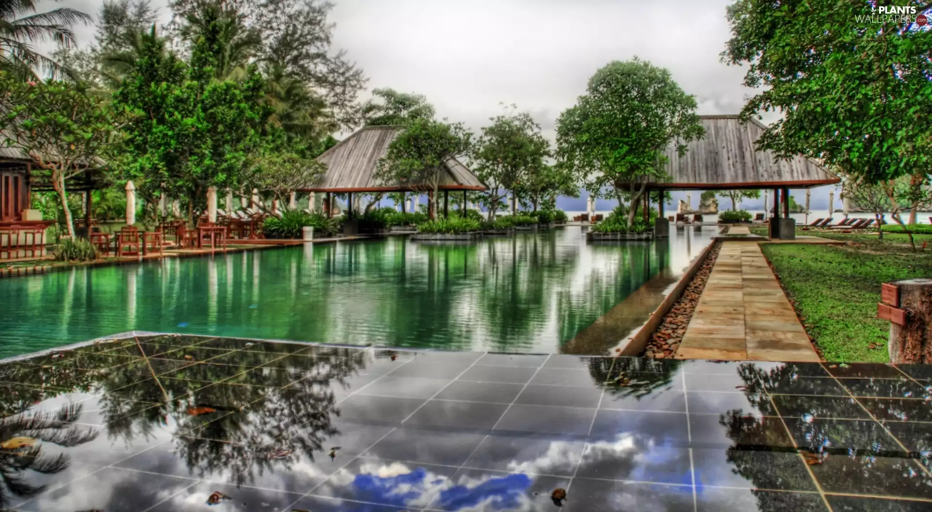 Pool, Malaysia, trees, viewes, Houses