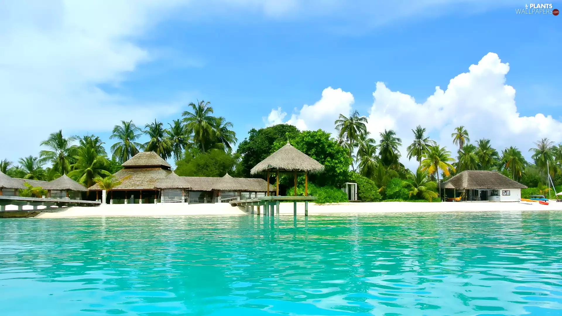 coconut, sea, huts, Maldives, Platforms, Palms