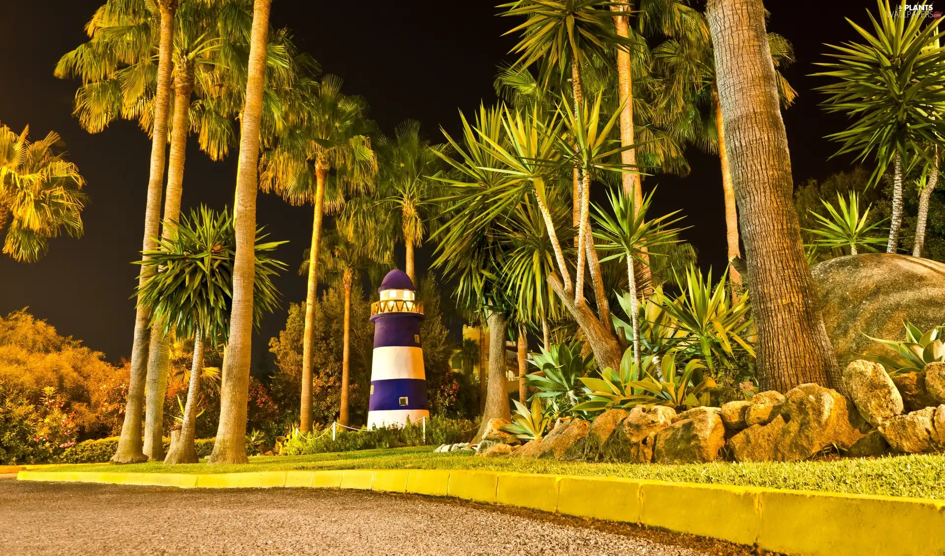 Way, Lighthouse, maritime, Palms