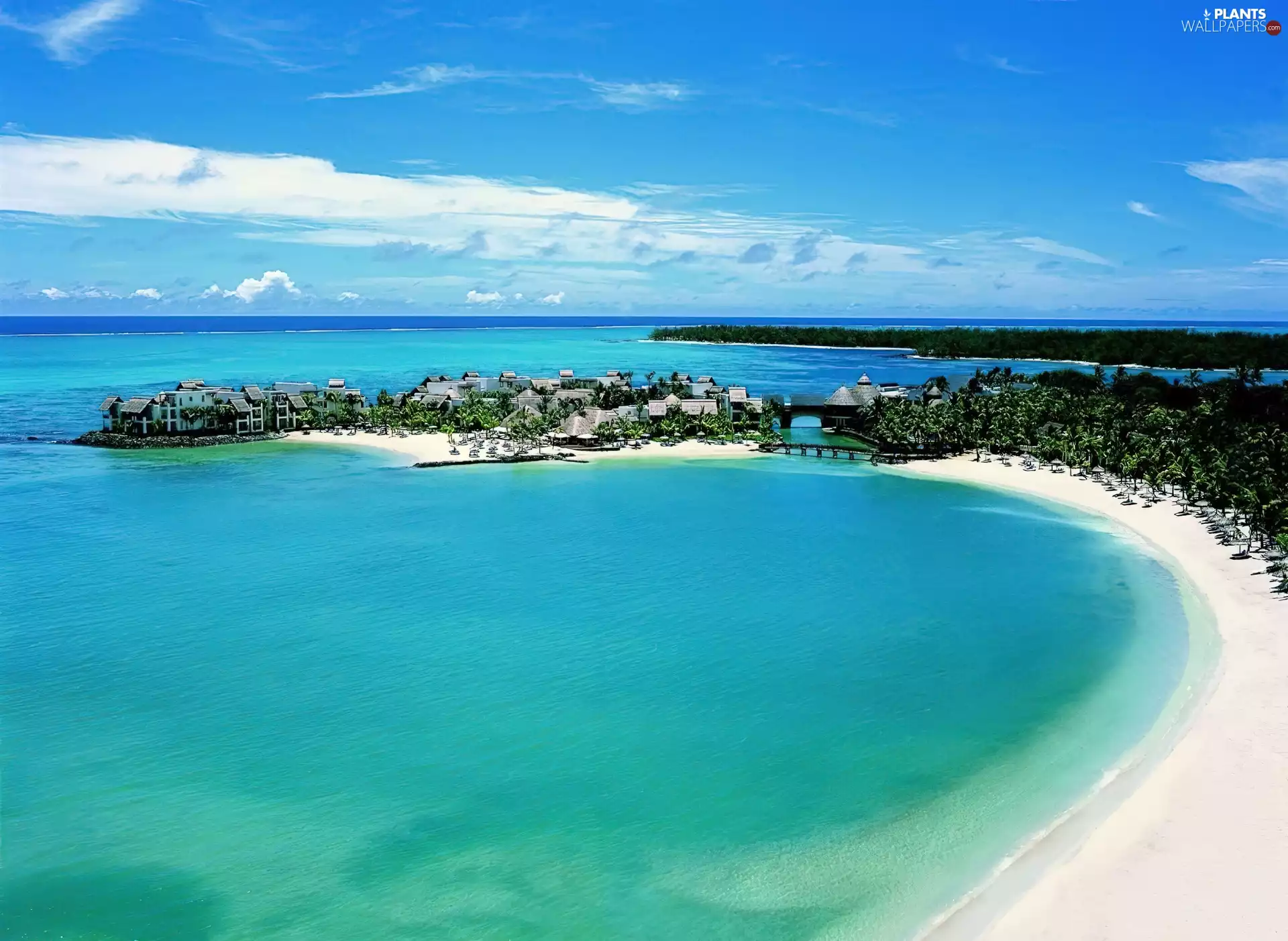 Beaches, Mauritius, Hotels, Palms, sea