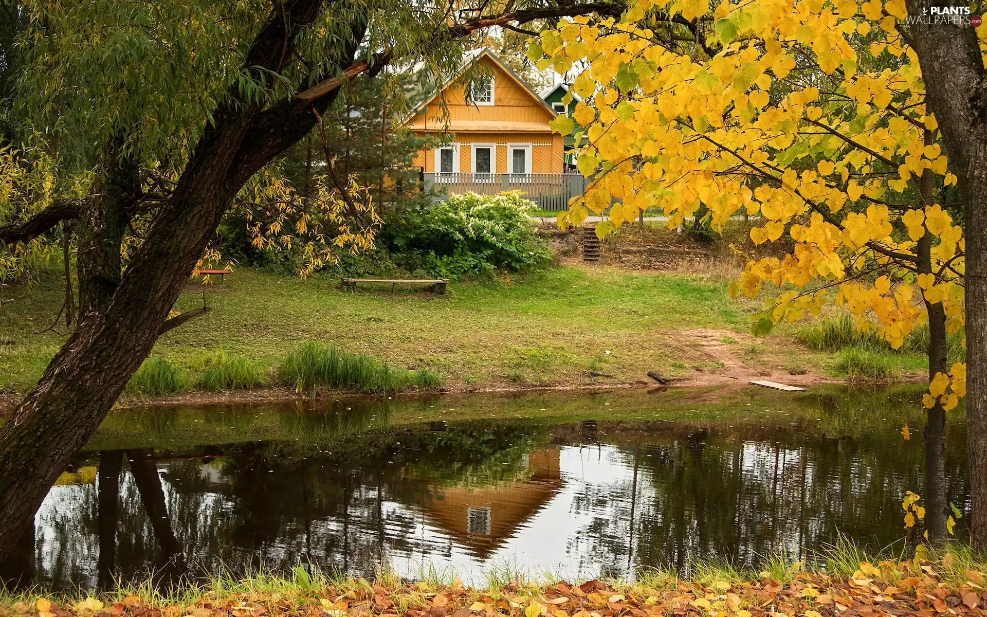 autumn, River, viewes, Meadow, trees, house