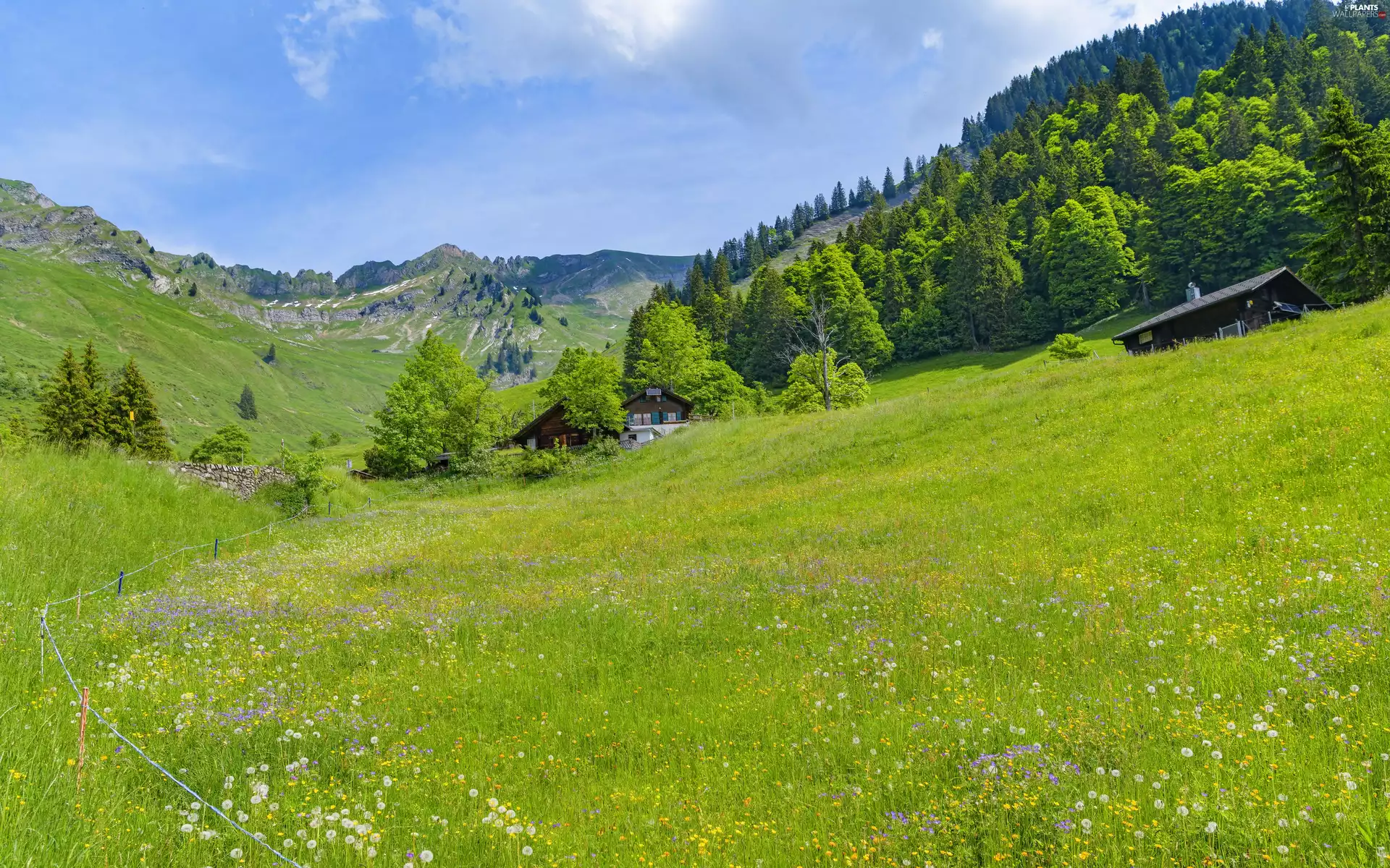 trees, Valley, Mountains, Meadow, viewes, Houses