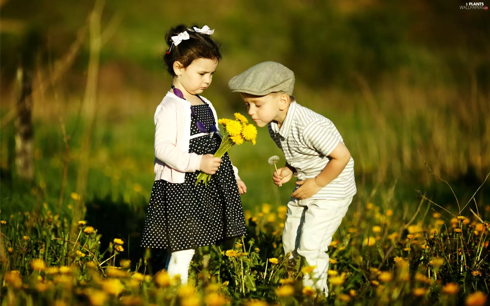 small bunch, summer, Meadow, Flowers, Kids