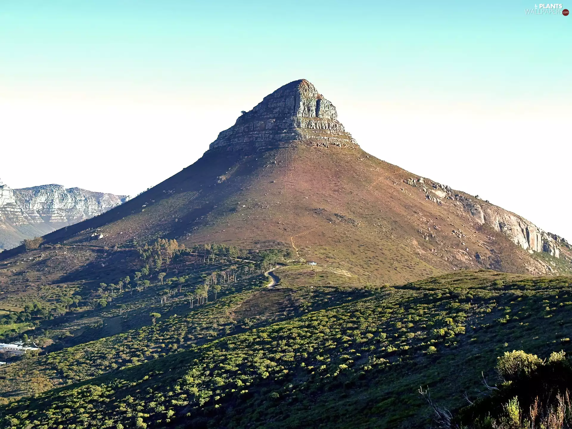 Mountains, Sky, Bush, Meadow