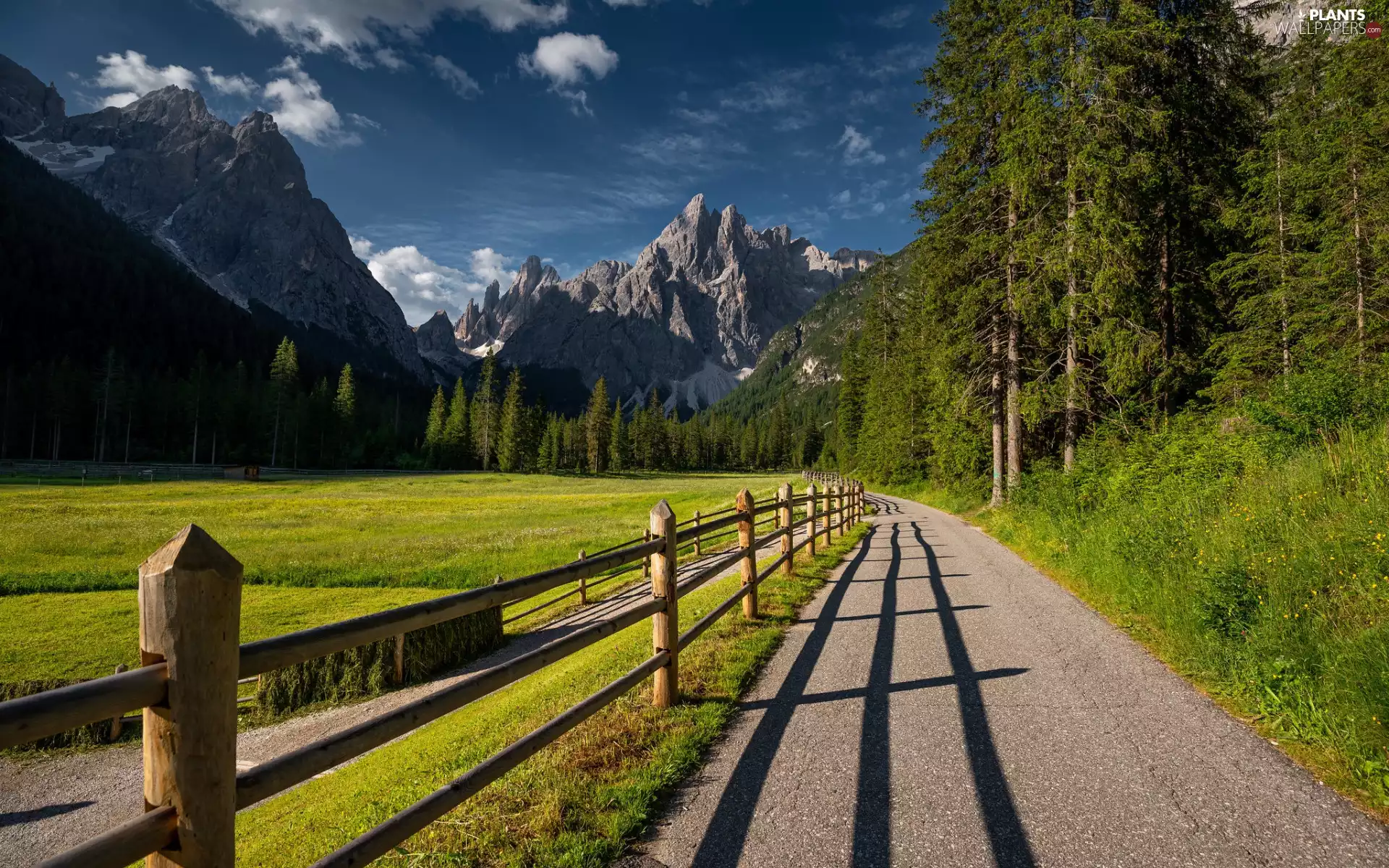 trees, viewes, Mountains, fence, grass, forest, Way, Meadow