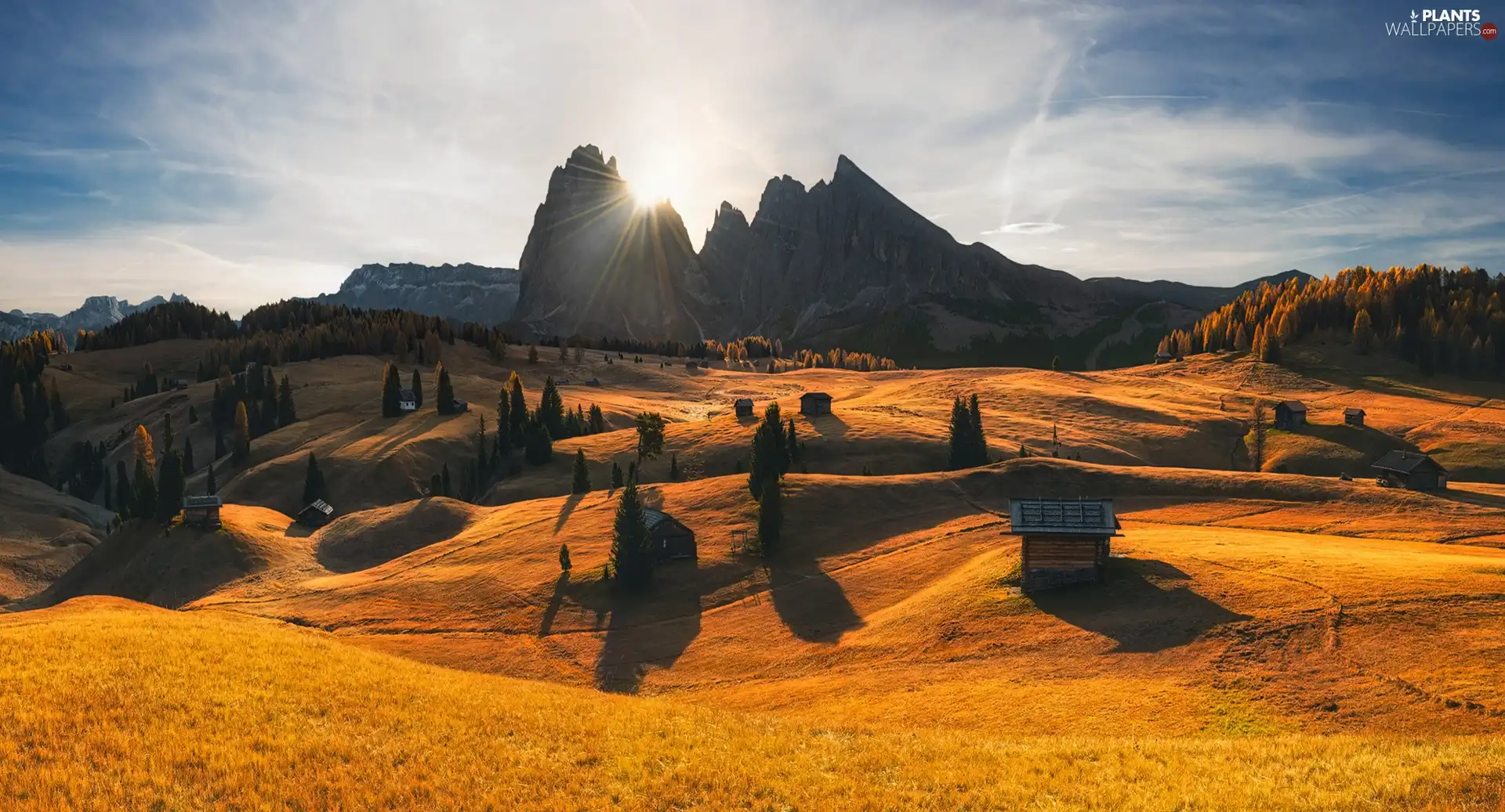 Dolomites, Seiser Alm Meadow, Italy, Houses, viewes, Sassolungo Mountains, Val Gardena Valley, trees