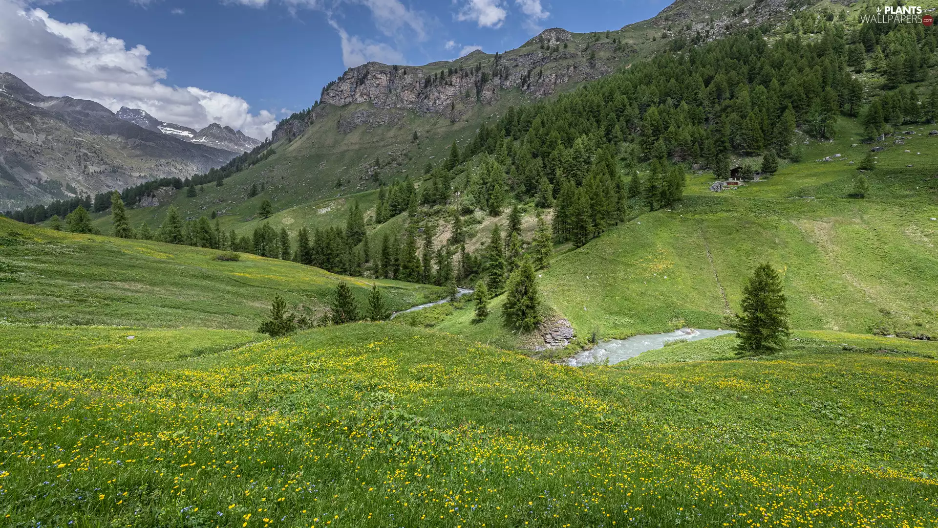 Flowers, Valley, viewes, Meadow, Mountains, trees, River