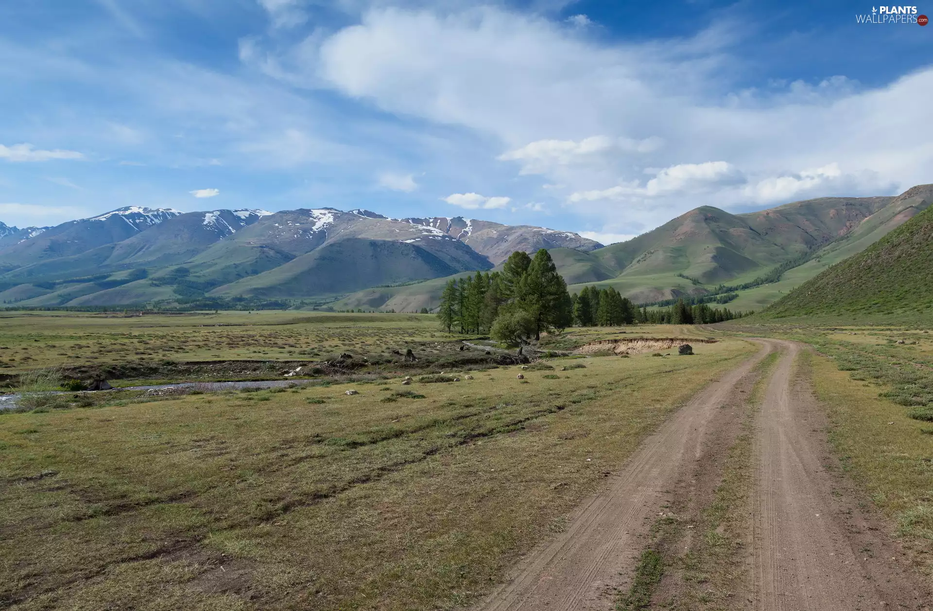 viewes, Meadow, Way, trees, Mountains