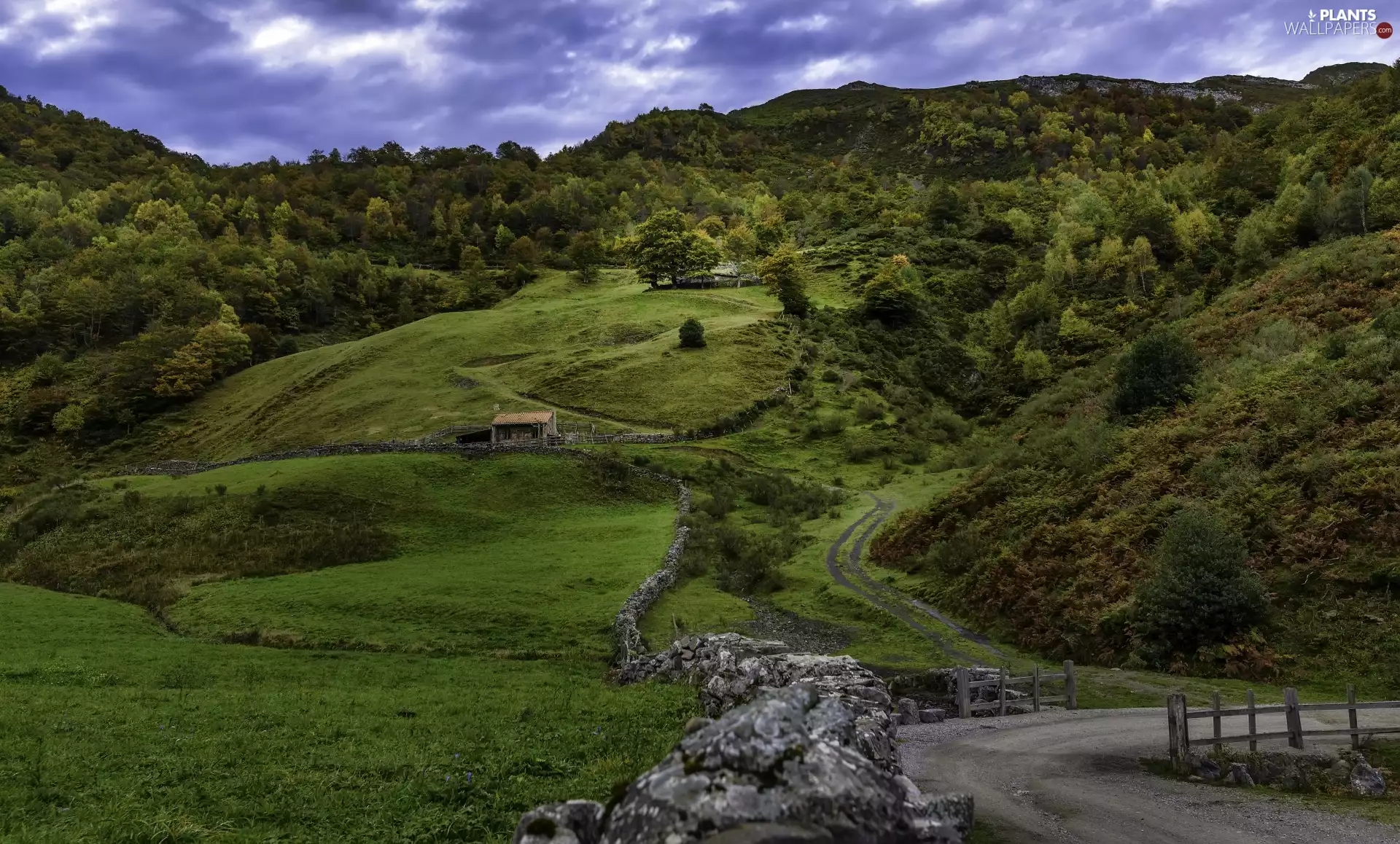 ledge, stone, Path, medows, viewes, Way, fence, The Hills, clouds, house, trees, woods