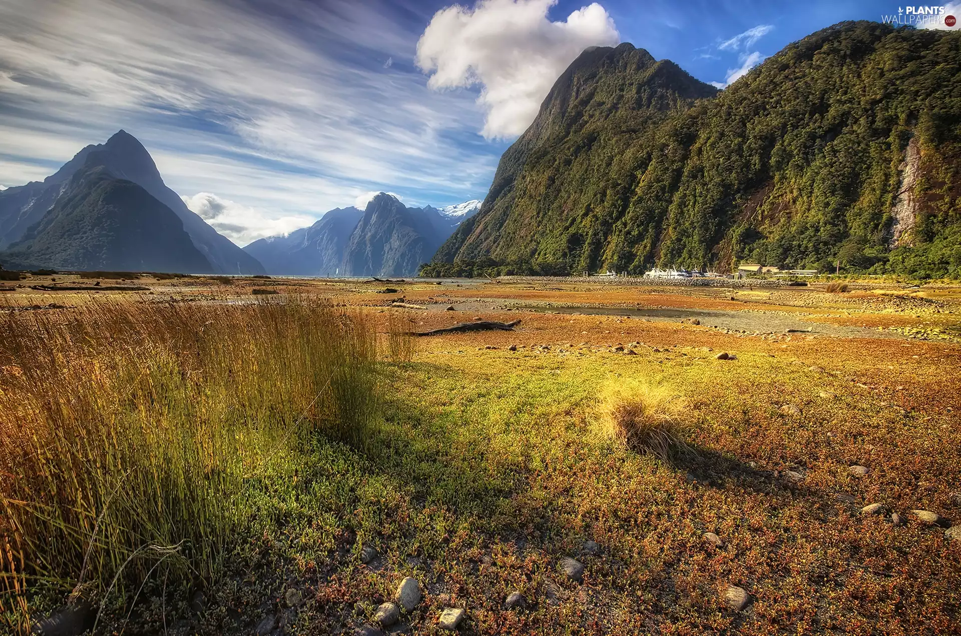 Mountains, Meadow, grass, medows