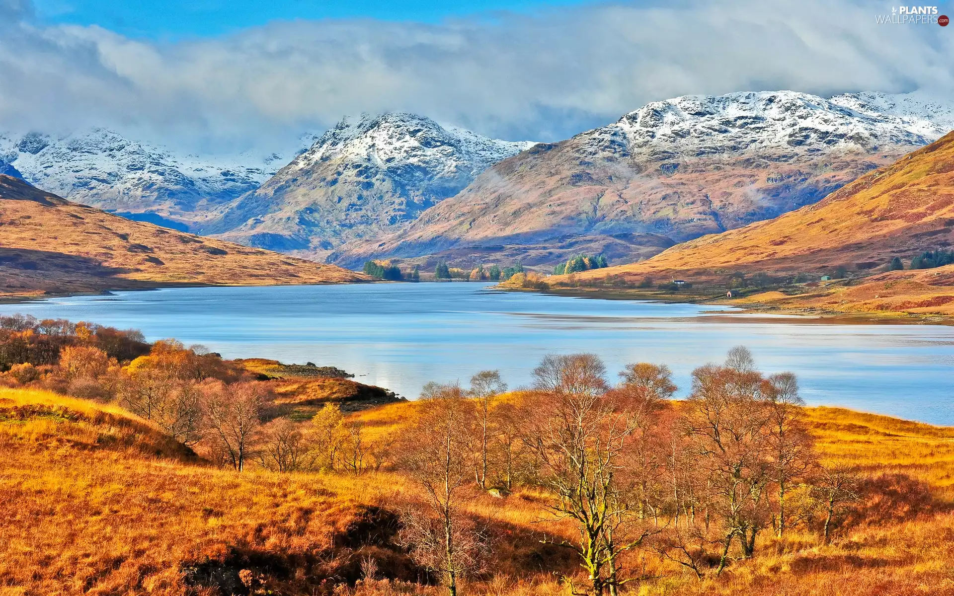 trees, Mountains, Scotland, medows, lake, viewes, autumn