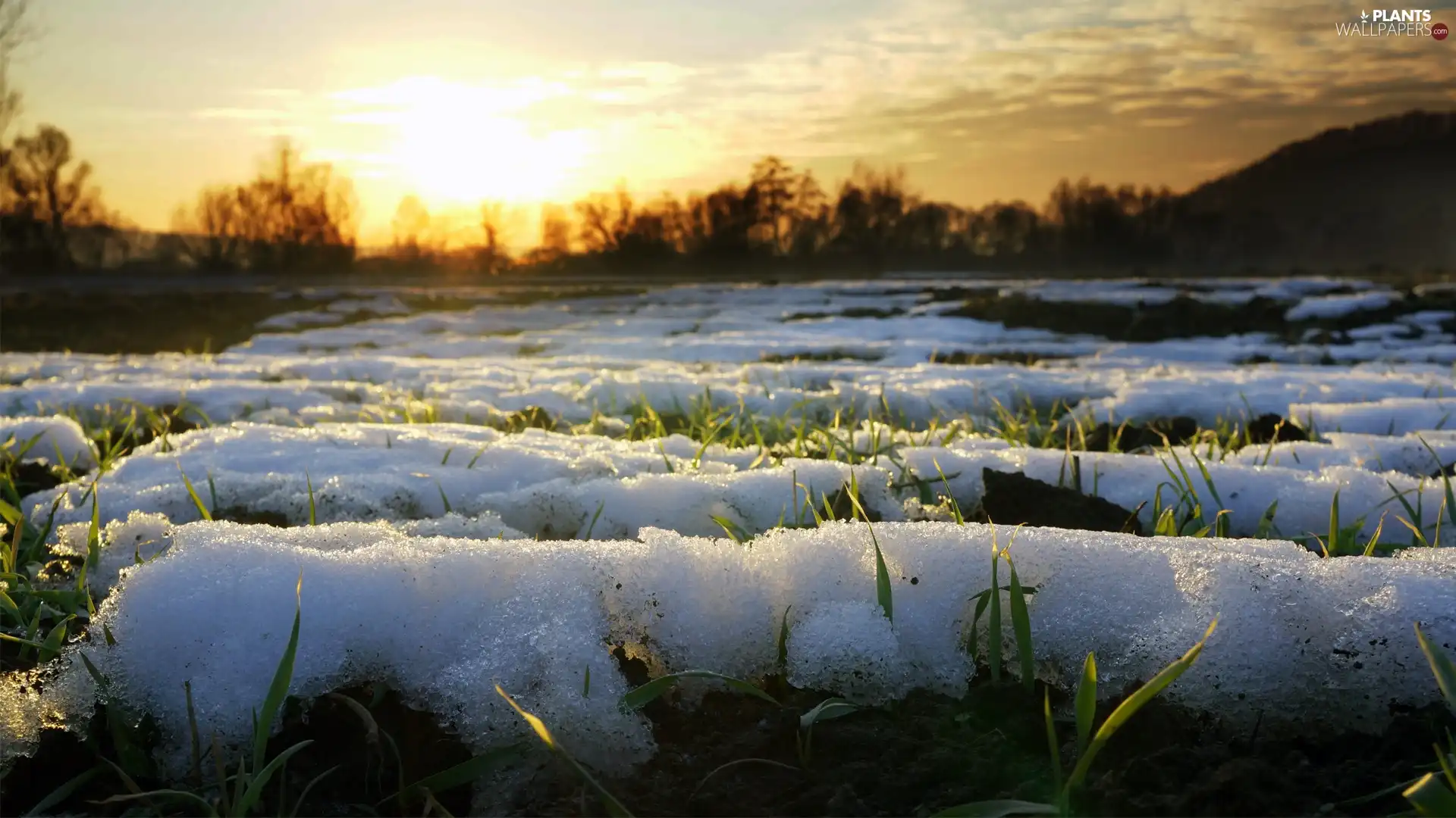 melting, snow, sun, grass, west