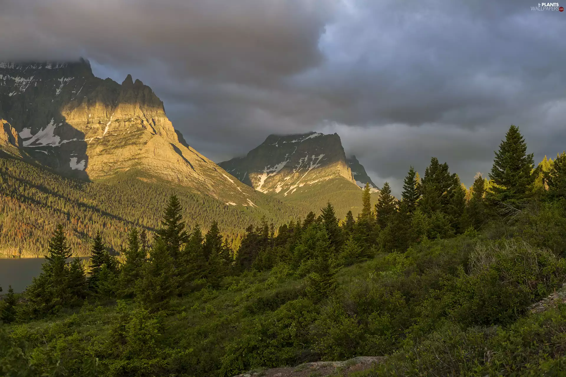 rocky mountains, Glacier National Park, clouds, trees, Montana State, The United States, forest, Bush, viewes