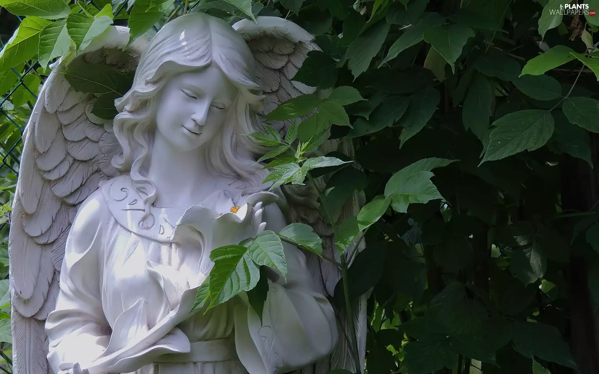 Statue monument, angel, Bush, figure