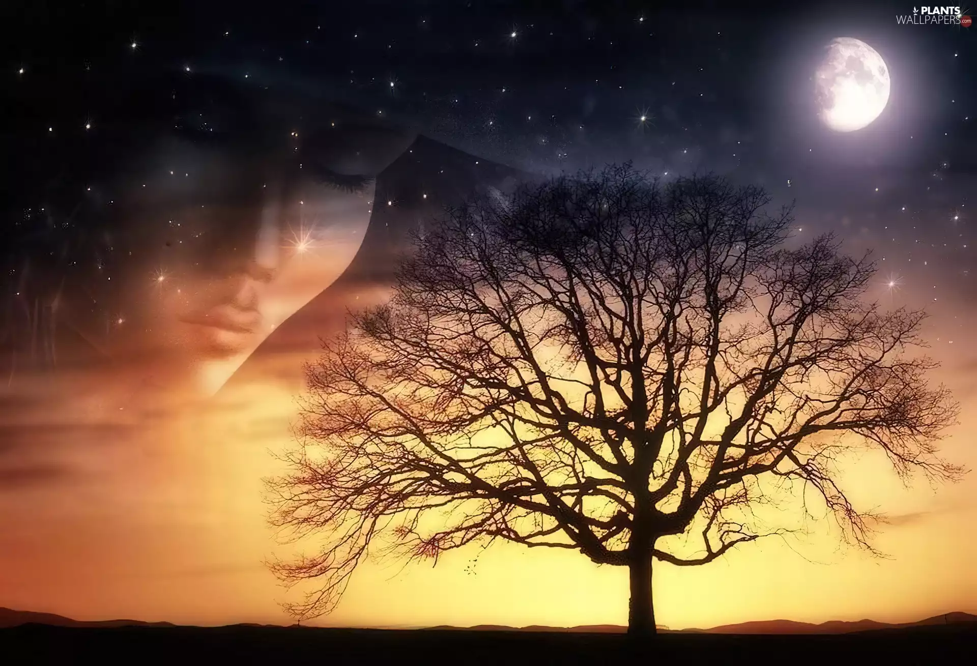 face, star, trees, moon