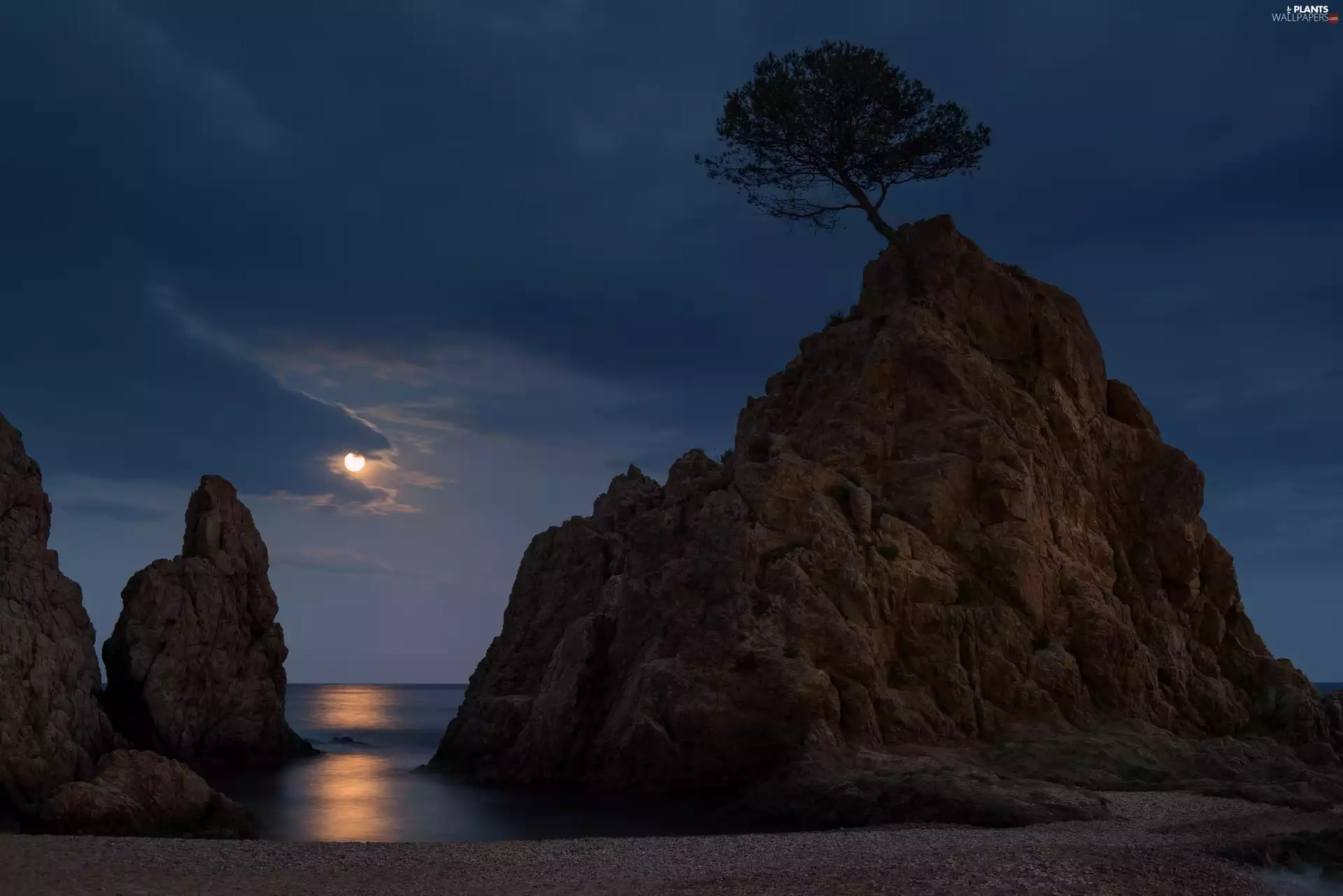 clouds, moon, rocks, trees, sea