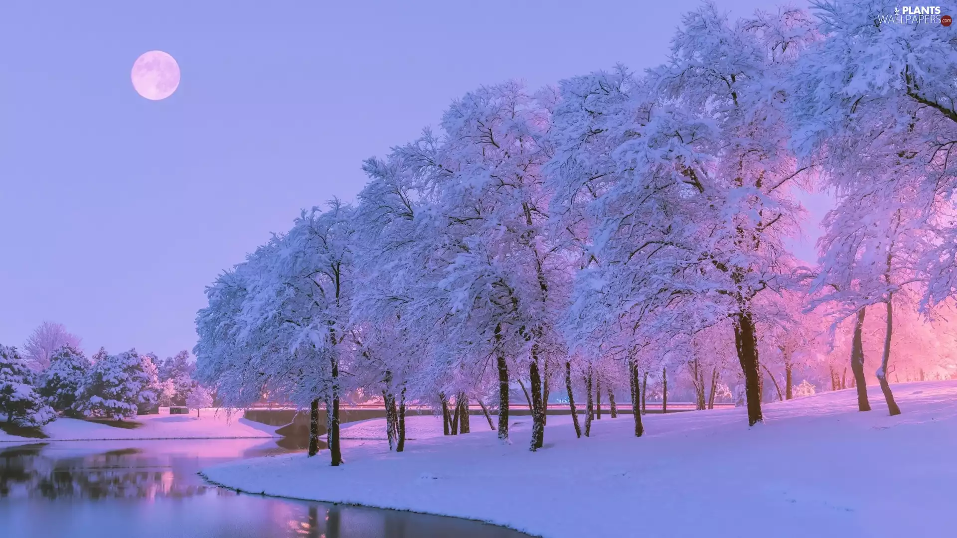 River, winter, viewes, moon, trees, snow