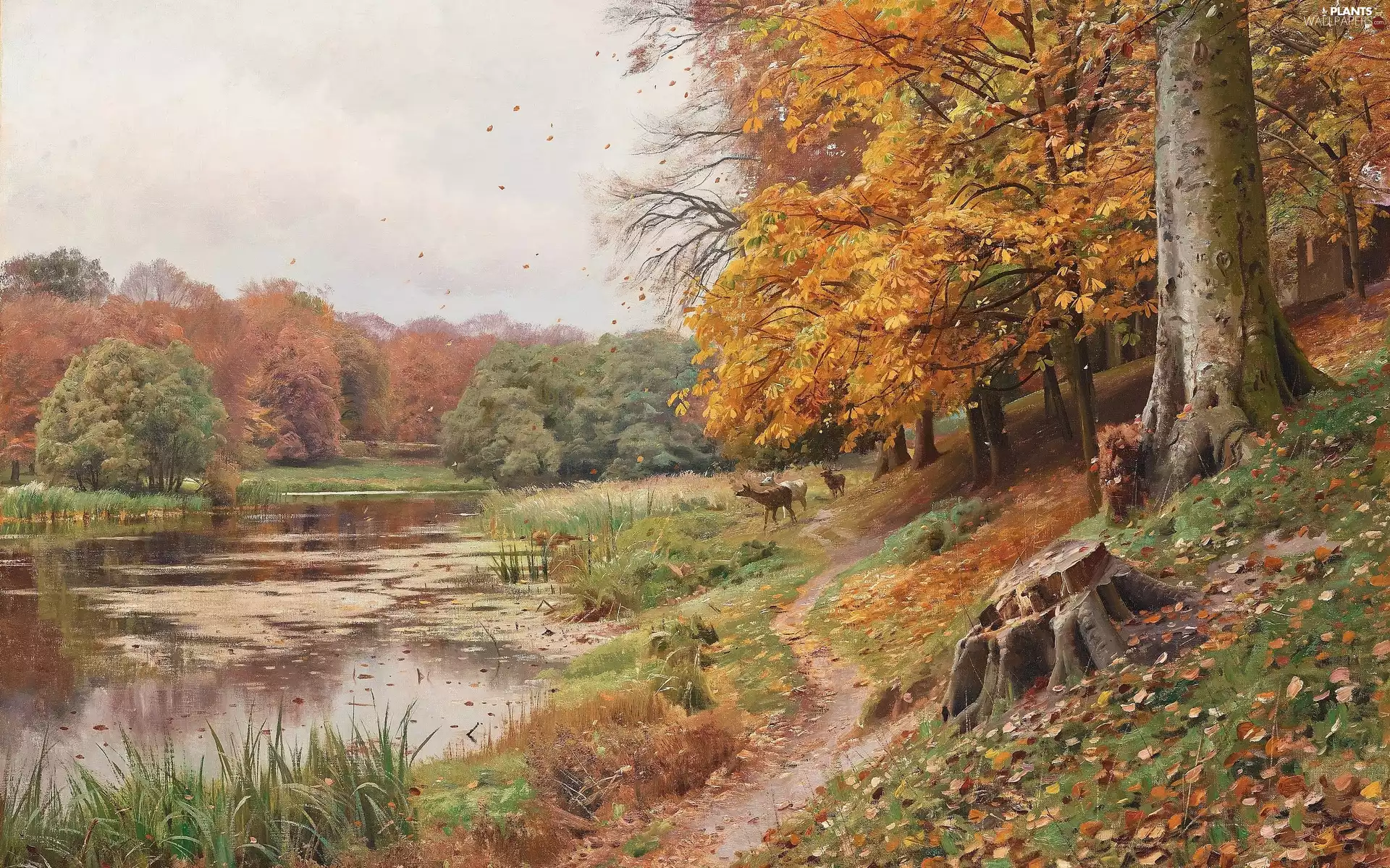 picture, autumn, Peder Mork Monsted, painting, trees, deer, Path, lake, forest, viewes, landscape