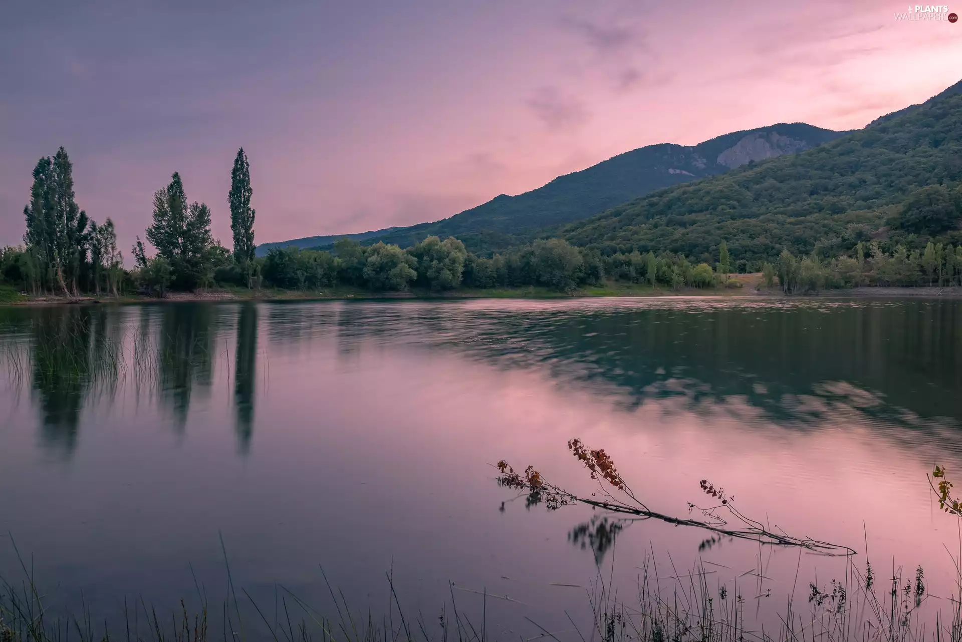 viewes, morning, lake, trees, Mountains