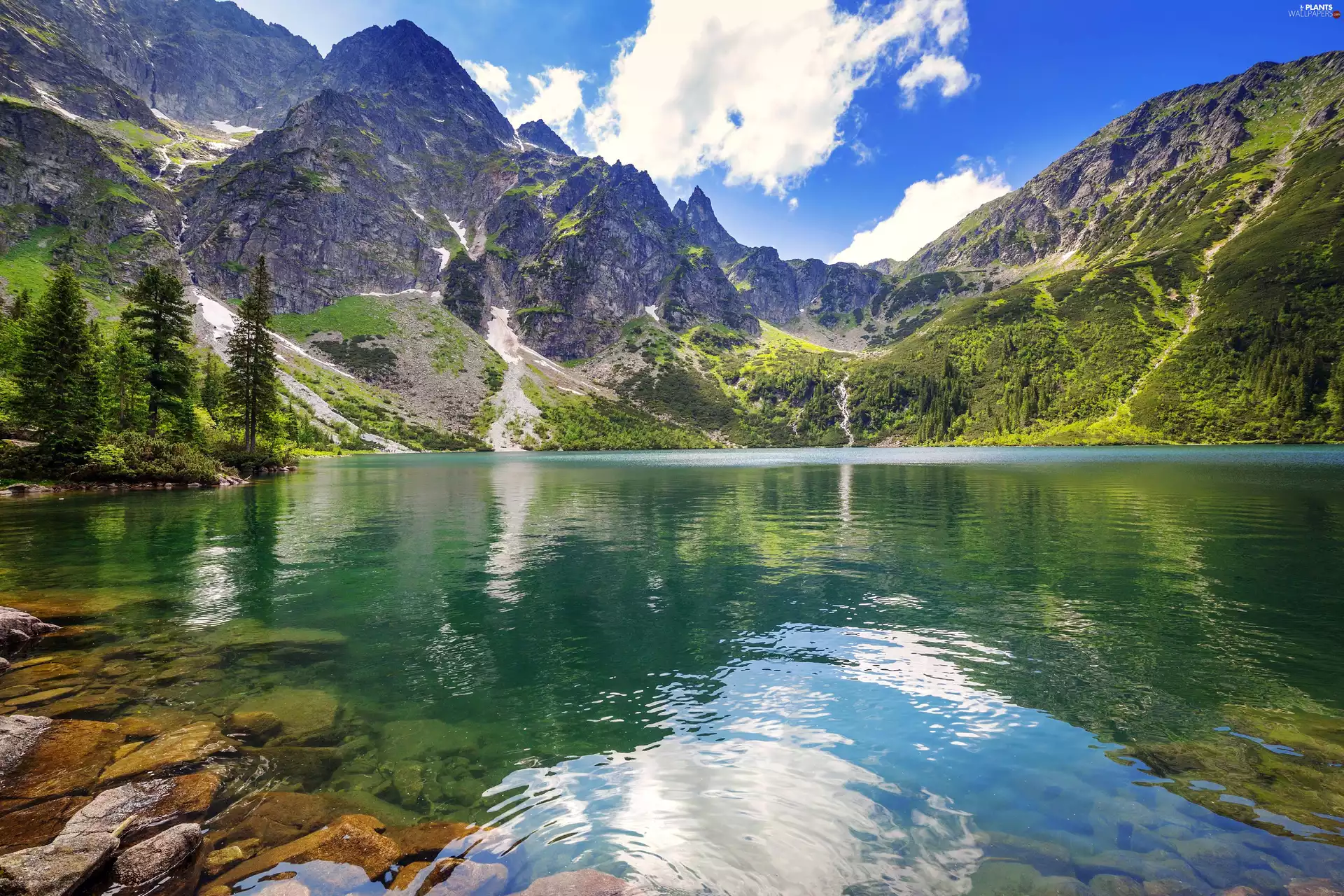 Morskie Oko Lake, Poland, trees, viewes, summer, Tatry Mountains