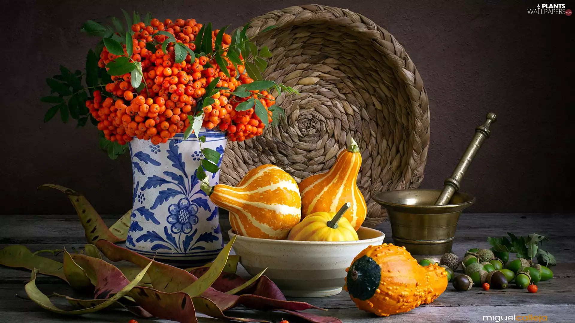 Vase, bowl, basket, pumpkin, Acorns, Plant, composition, mortar