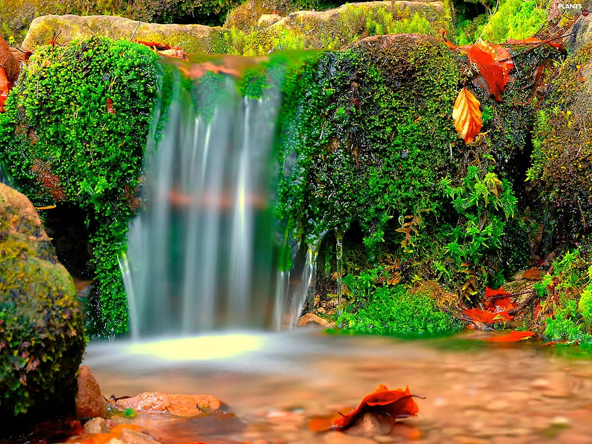 Moss, waterfall, boulders