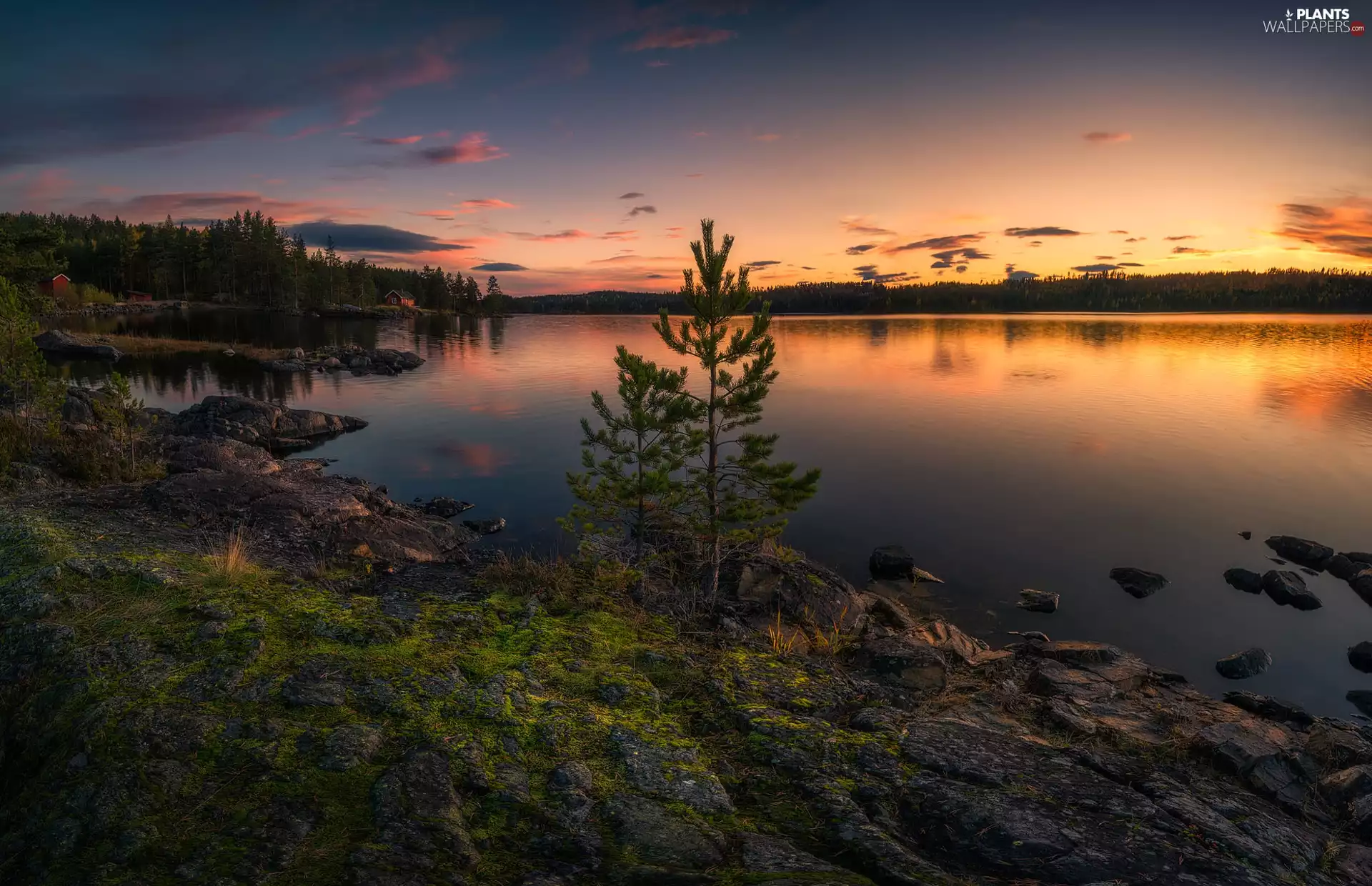 lake, Norway, Stones, mossy, woods, Houses, viewes, Great Sunsets, Ringerike Municipality, trees, Mountains