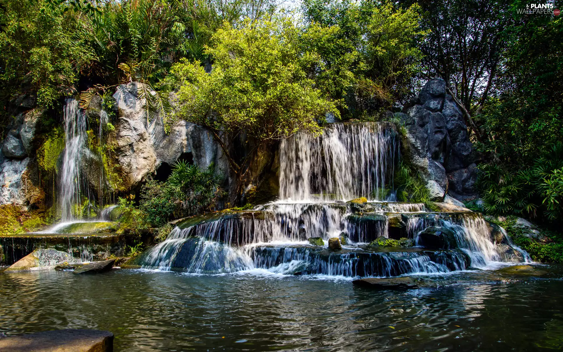mossy, trees, River, Stones, waterfall, forest, viewes, Plants, rocks, cascade