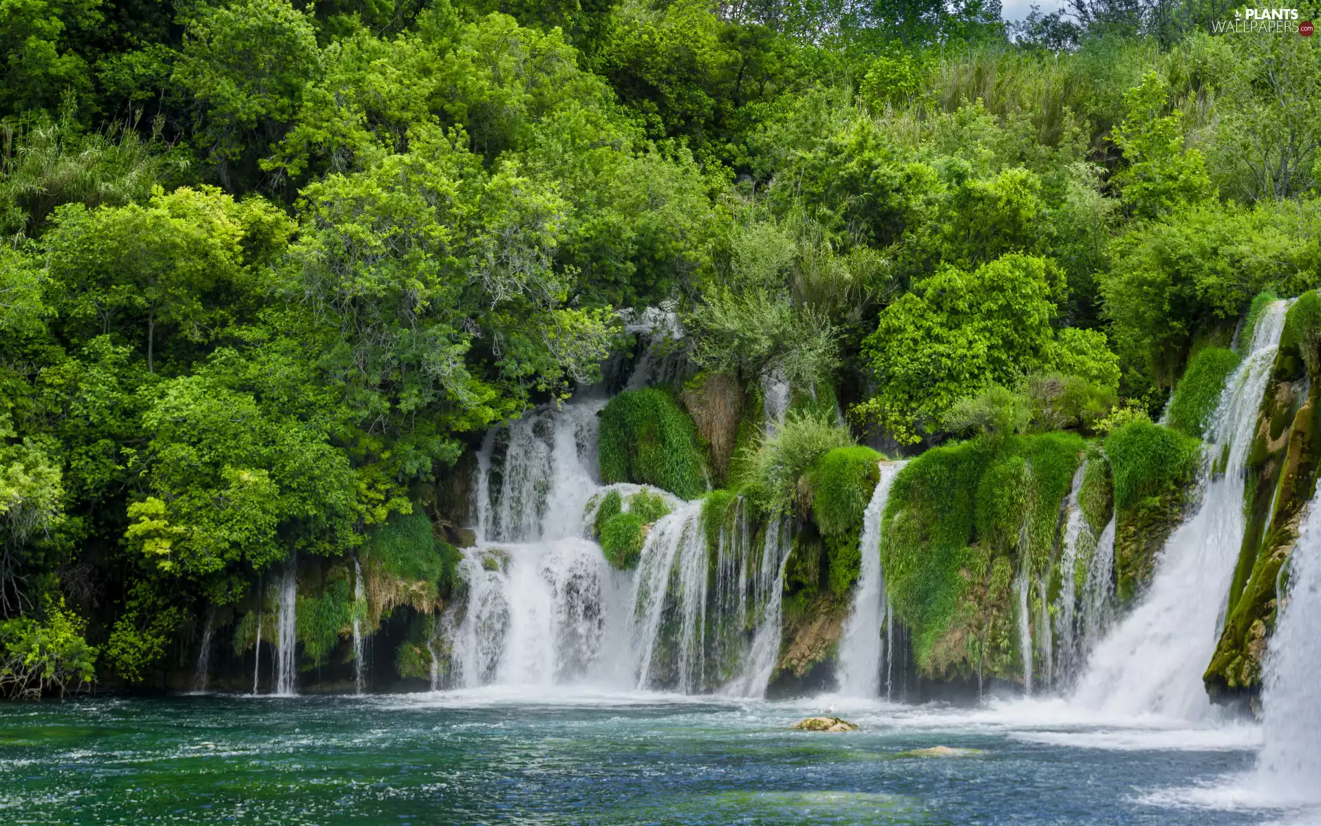 Stones, River, trees, mossy, waterfall, forest, viewes