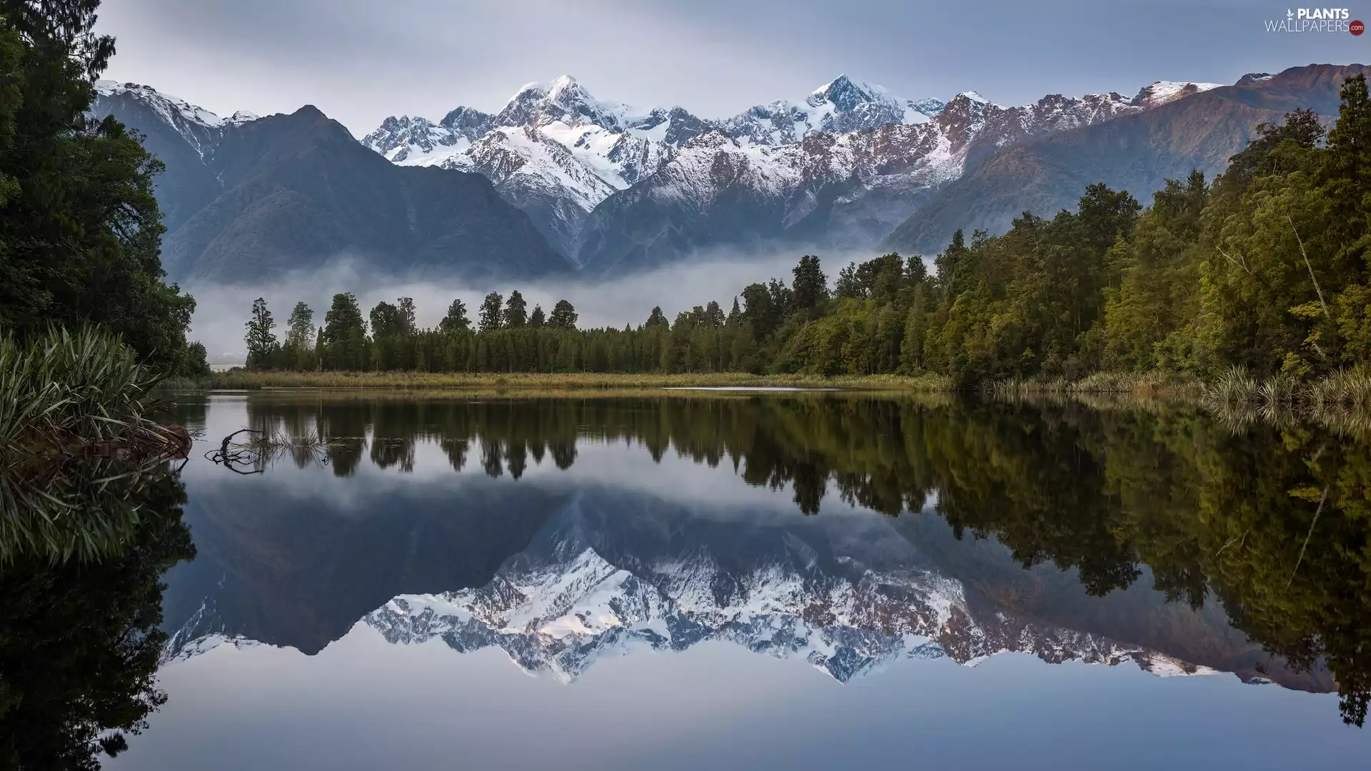 Mountains, Mount Cook National Park, trees, viewes, Mount Cook, New Zeland, reflection, Matheson Lake, Fog