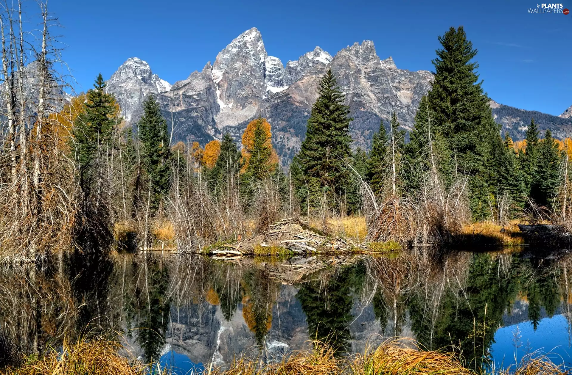 viewes, Pond - car, Mountains, trees, autumn