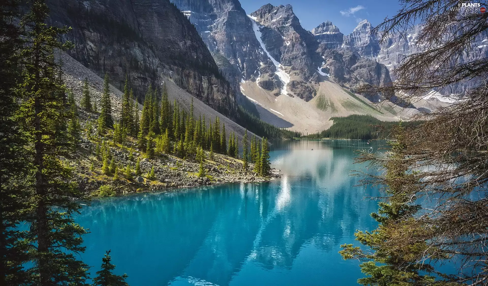 Mountains, Canada, trees, viewes, Lake Moraine, Banff National Park