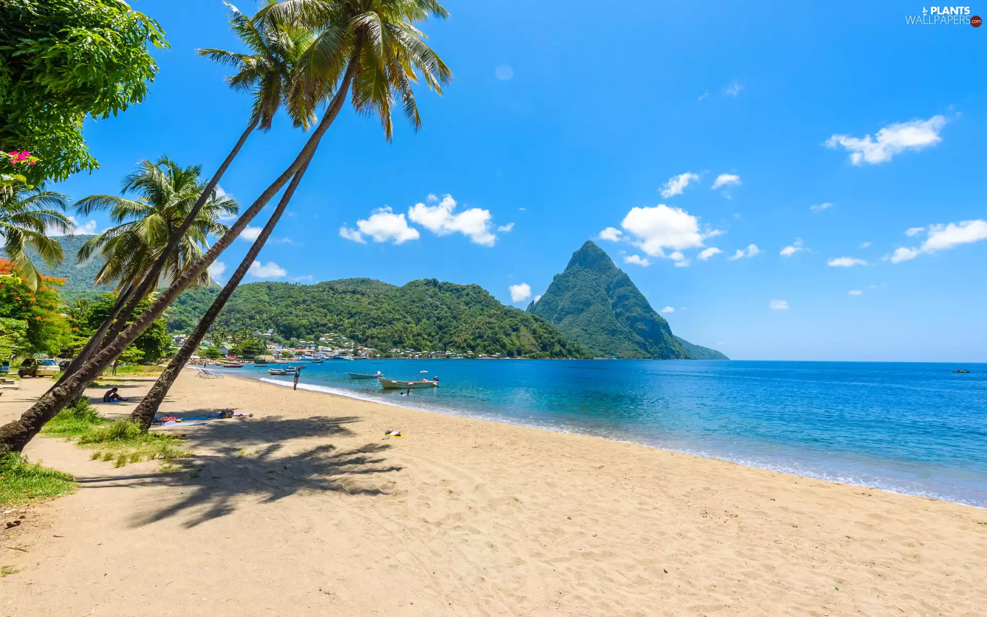Mountains, Palms, Saint Lucia, Caribbean Sea, Beaches, Island, Caribbean