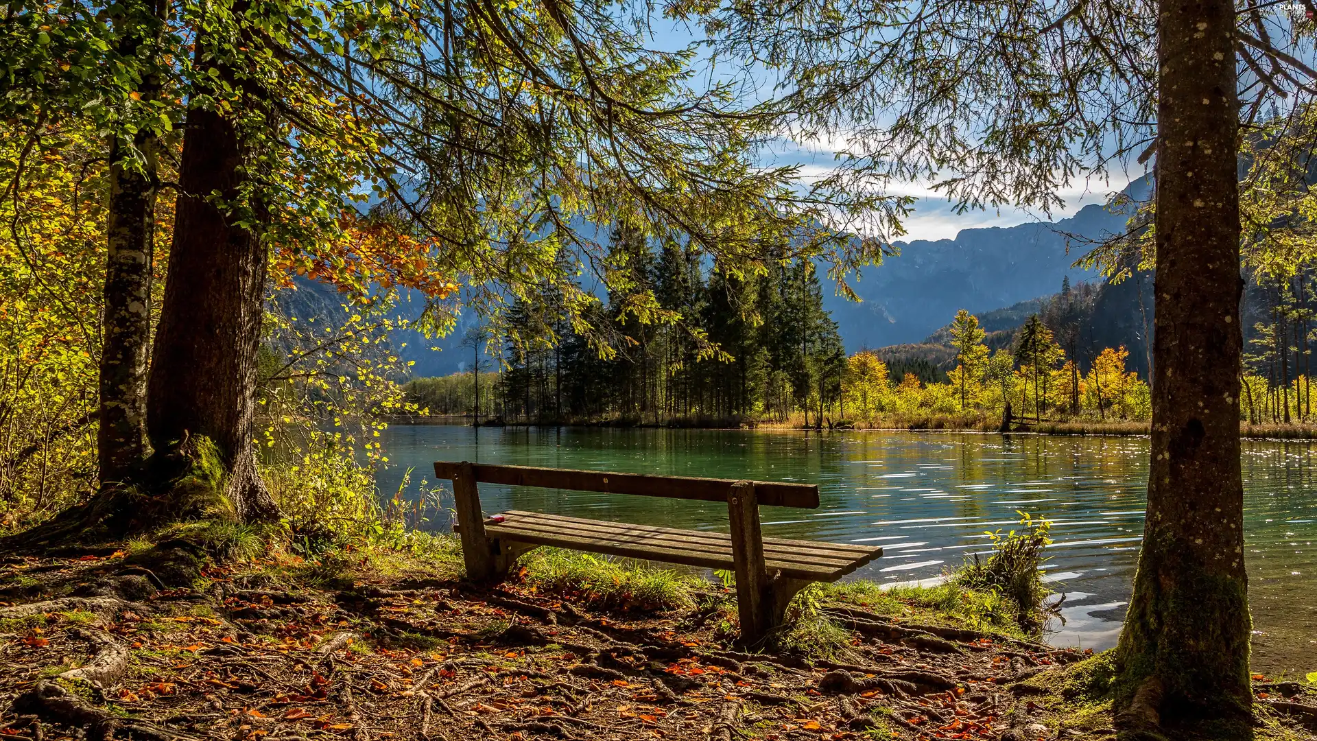 viewes, Mountains, Bench, trees, River