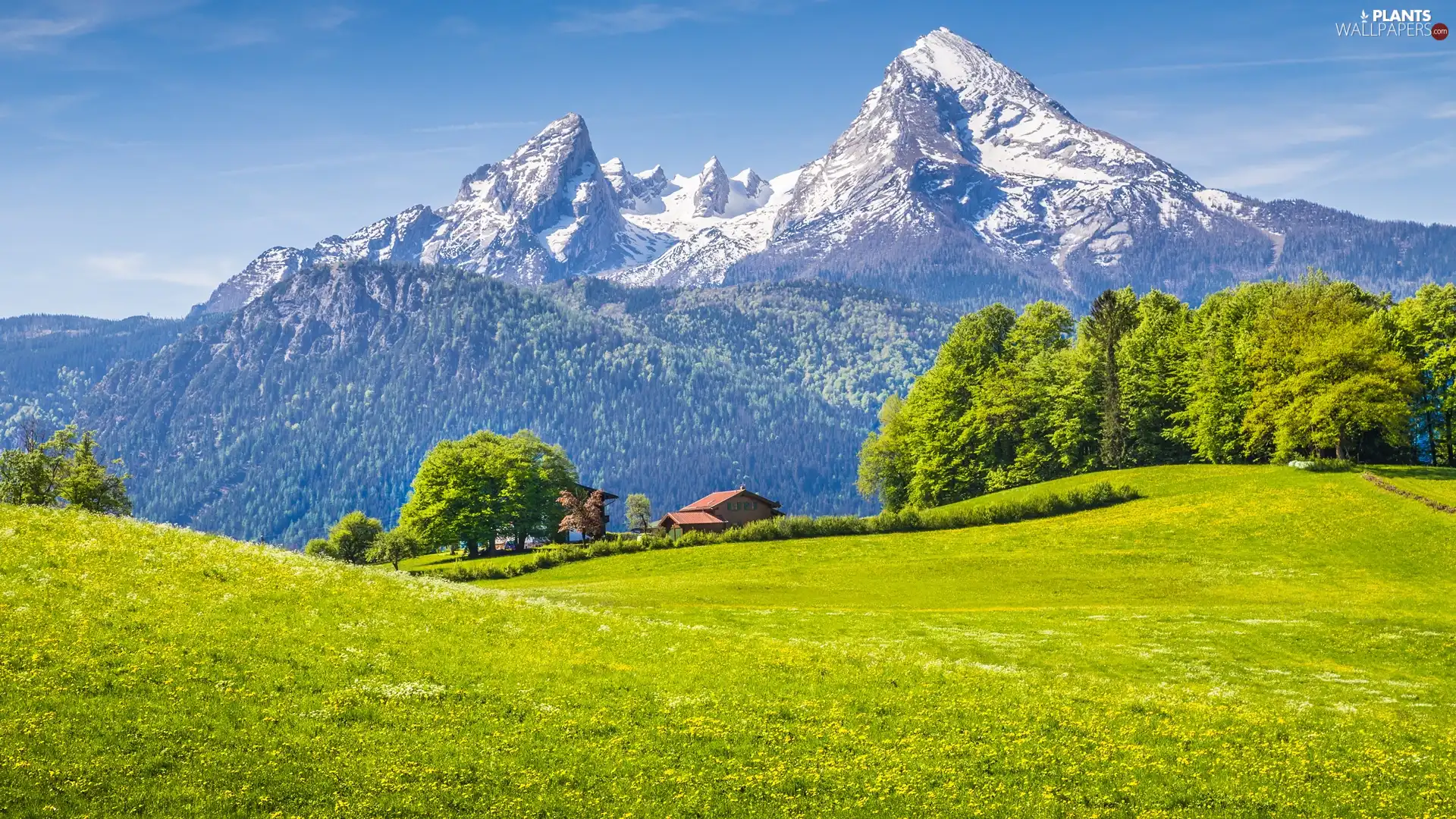 Bavaria, Germany, house, forest, viewes, Alps Mountains, Berchtesgaden National Park, trees