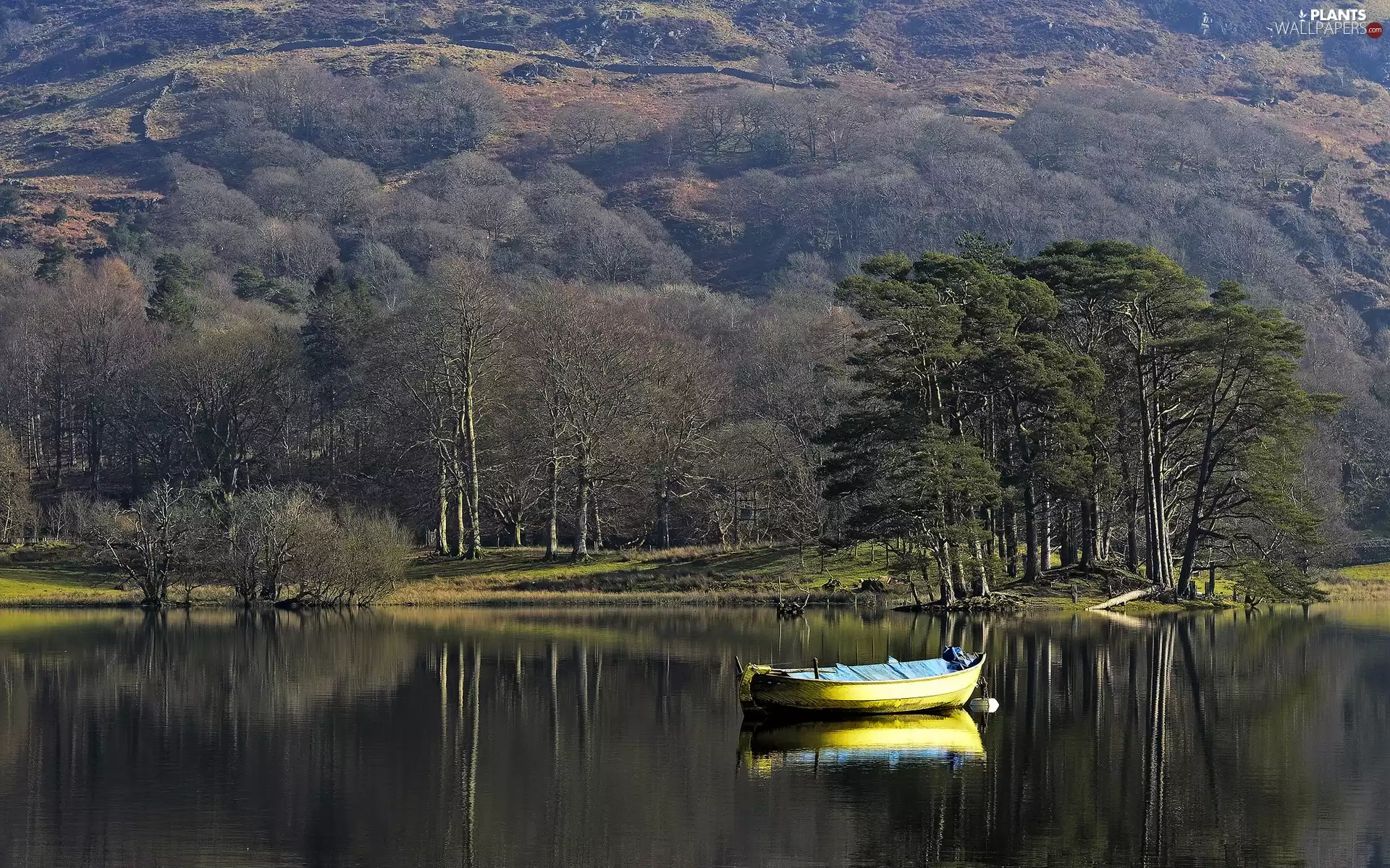 viewes, Mountains, Boat, trees, lake