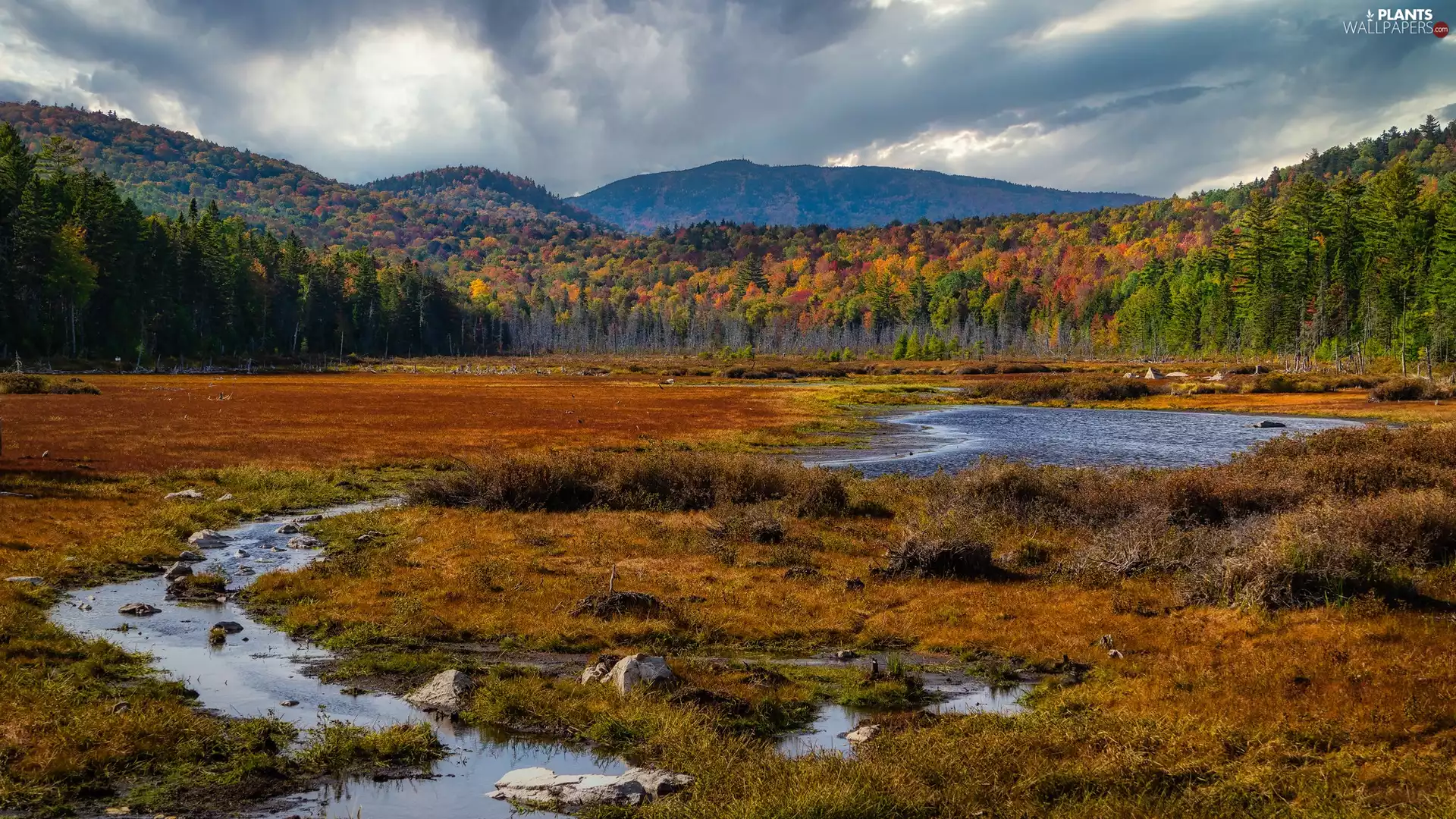 flux, autumn, viewes, Mountains, trees, brook