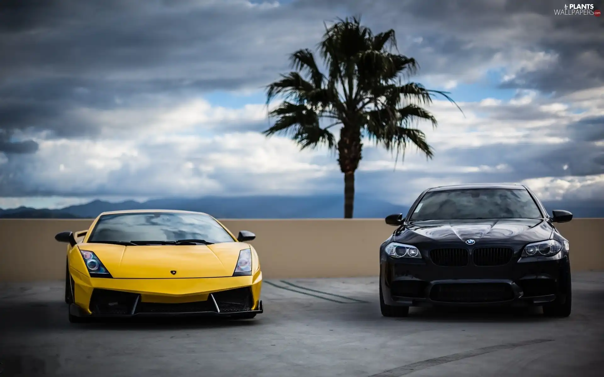 Mountains, clouds, Lamborghini, Palm, BMW F10