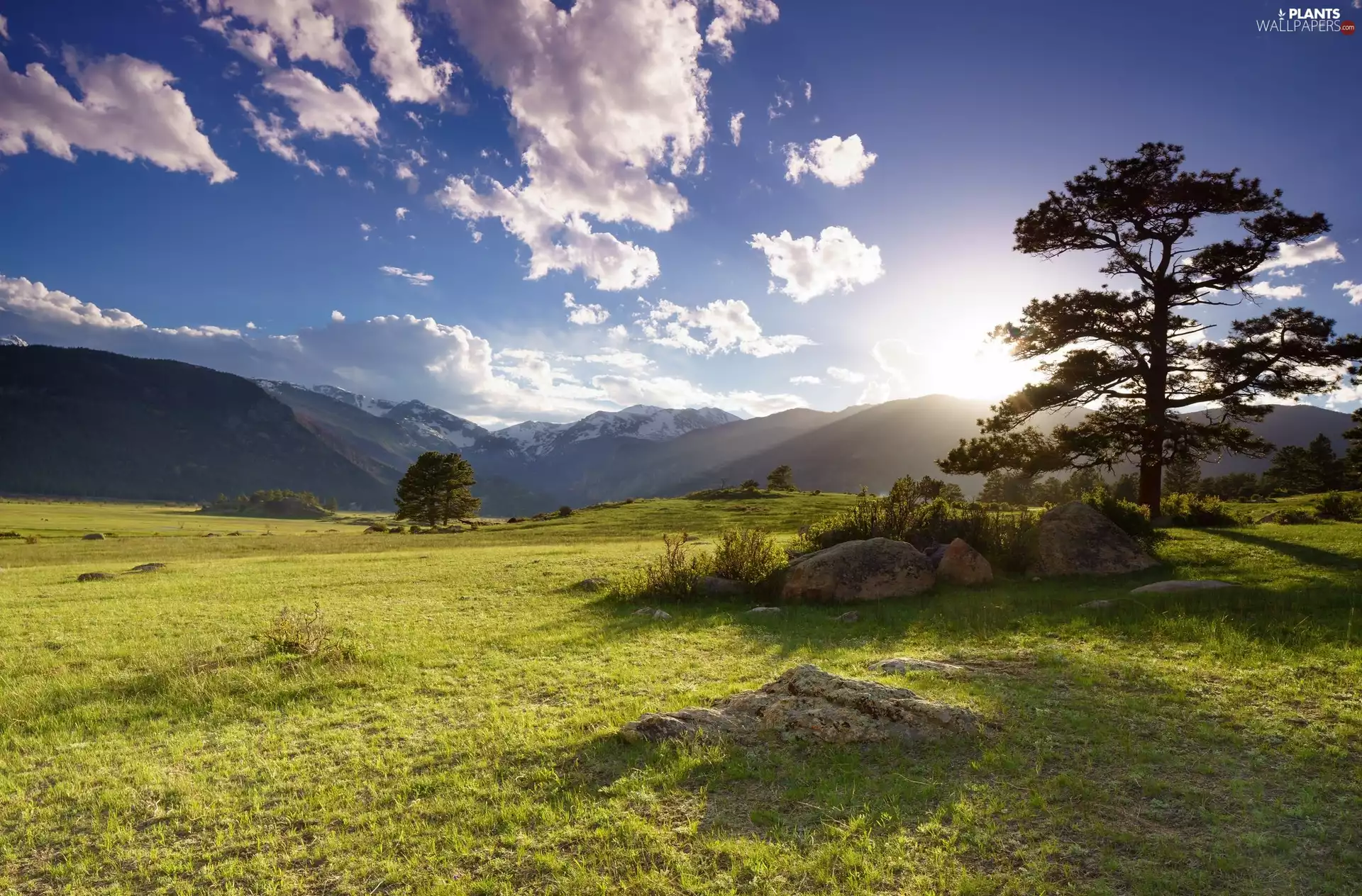 clouds, trees, Stones, Mountains