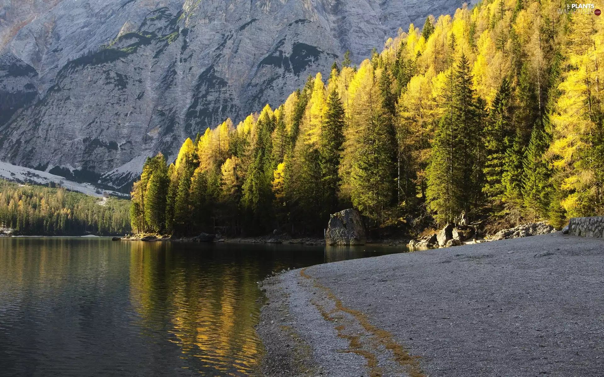 forest, lake, viewes, Mountains, trees, coast