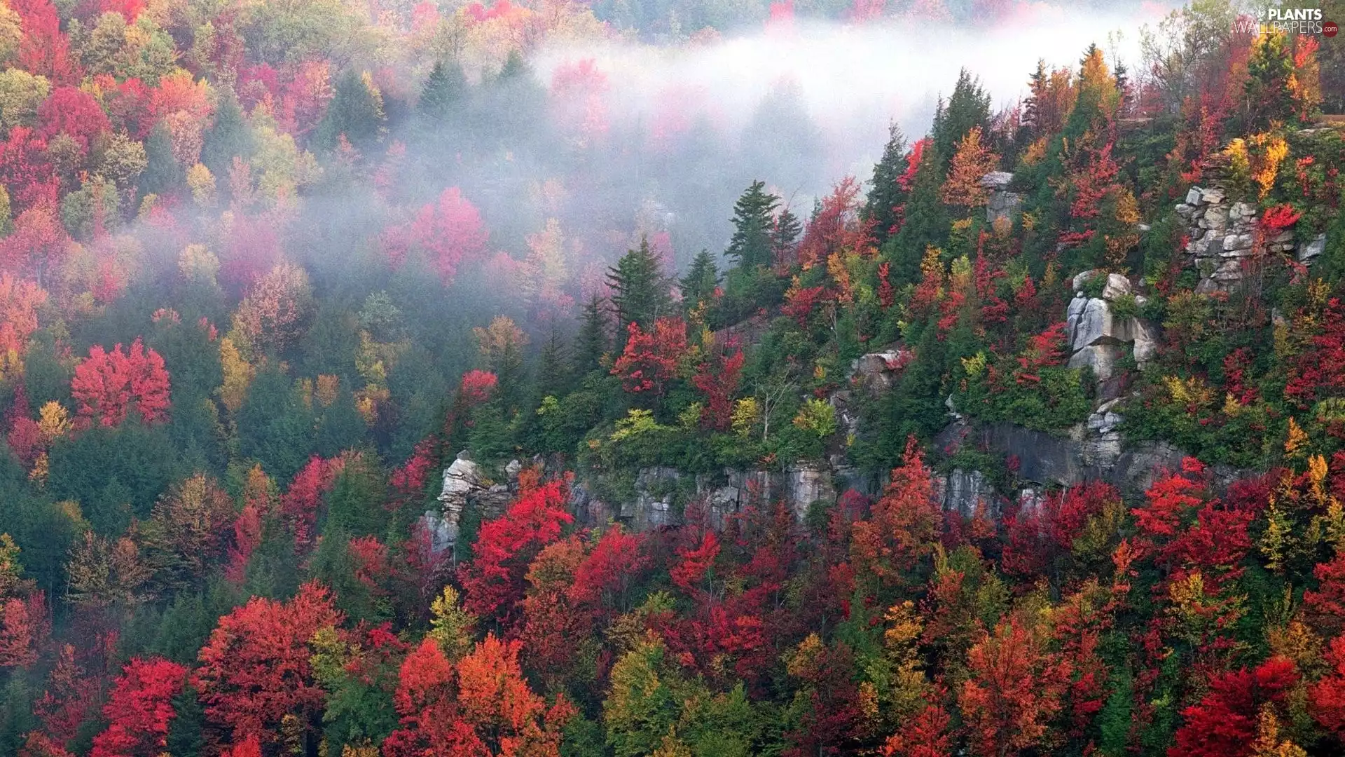 autumn, all, viewes, Mountains, trees, colors