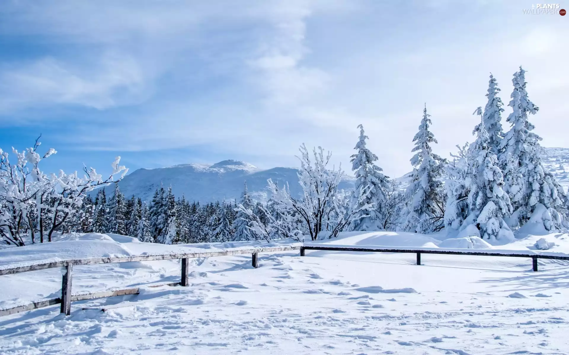 viewes, Mountains, fence, trees, winter