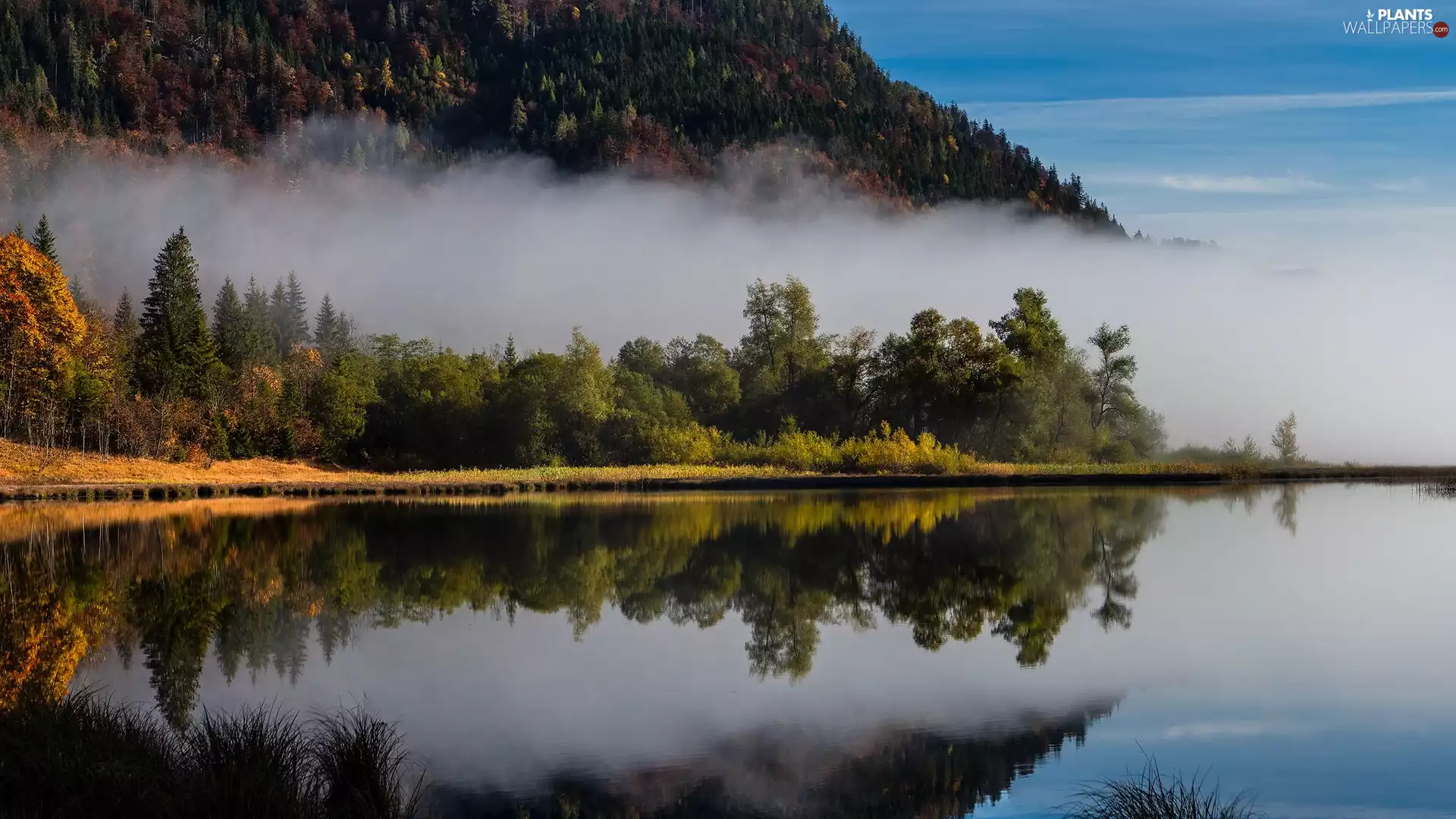 trees, lake, Fog, mountains, viewes, forest