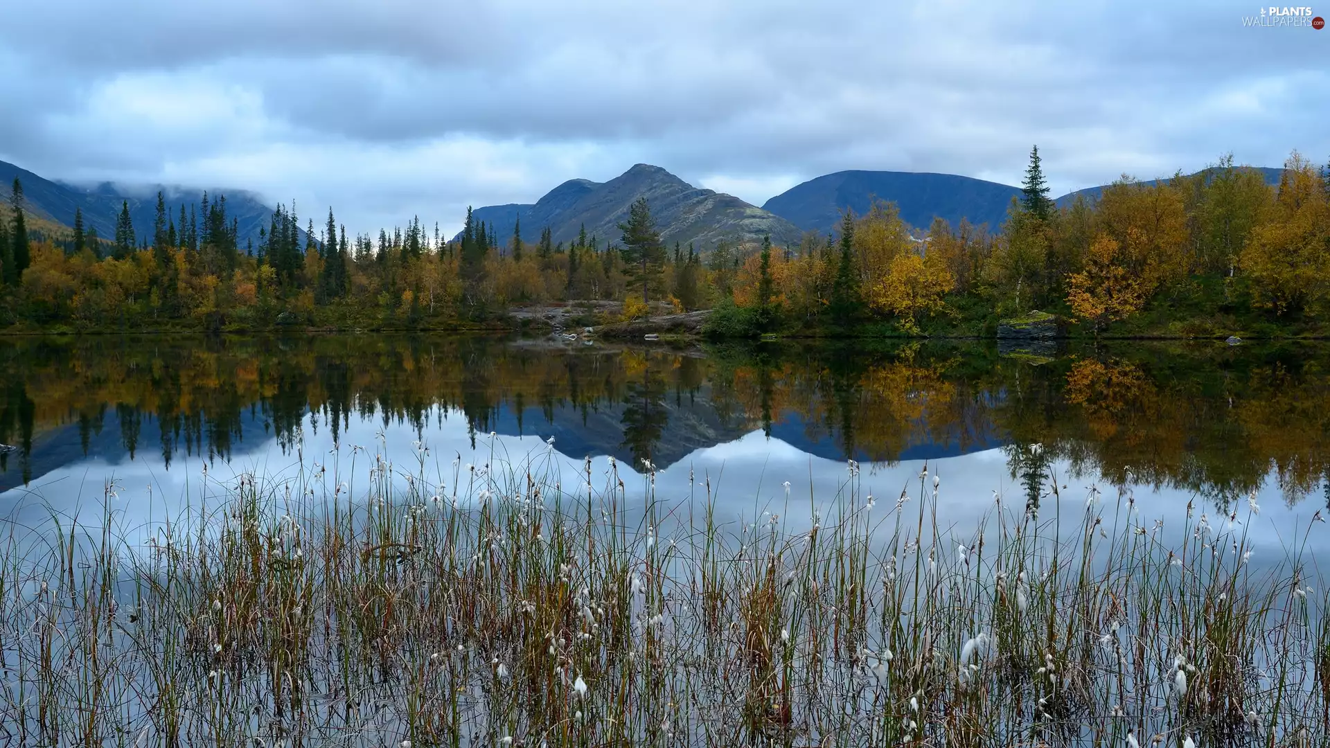 trees, lake, grass, Mountains, autumn, viewes, reflection