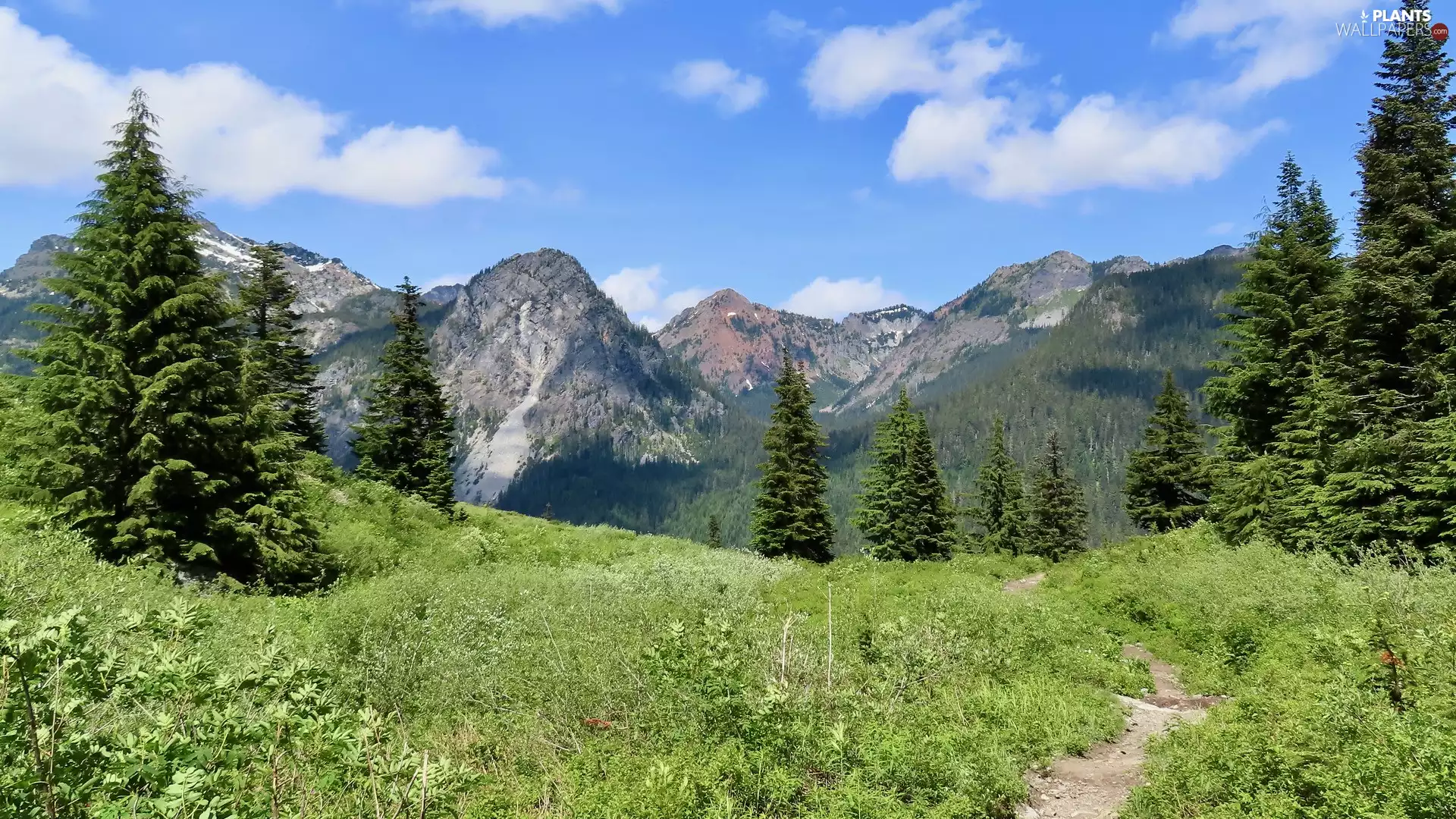 Path, trees, Washington State, viewes, Cascade Mountains, grass, The United States