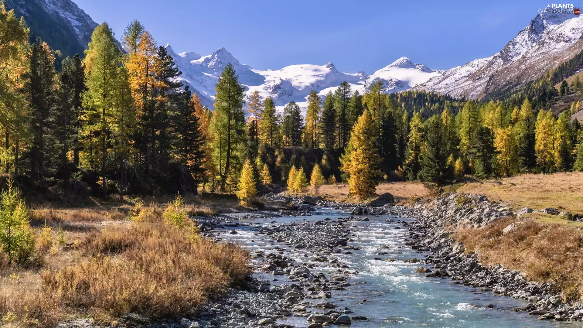 Mountains, Alps, River, autumn, viewes, Canton Graubunden, Switzerland, trees